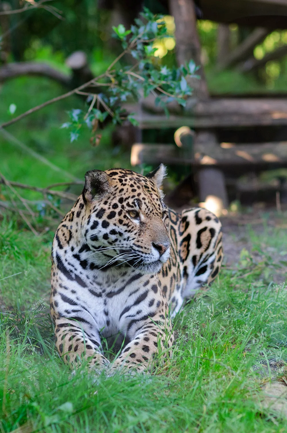 Catalin Burlacu Photography Blog