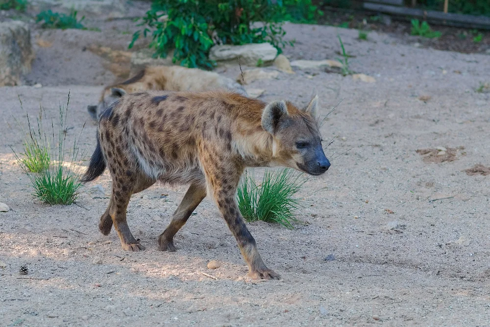 Catalin Burlacu Photography Blog