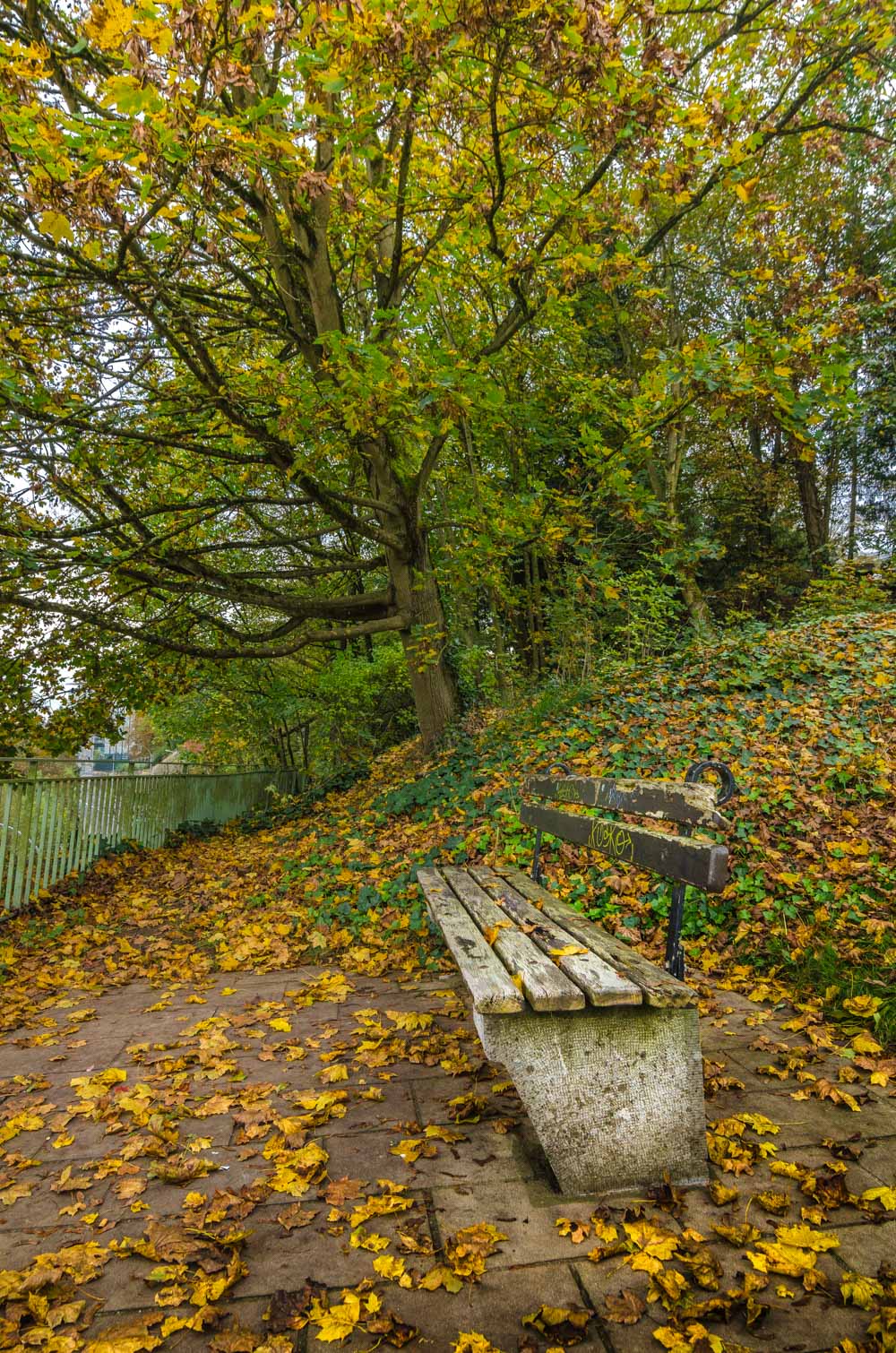 Fall colors Catalin Burlacu Luxembourg Photographer   .JPG