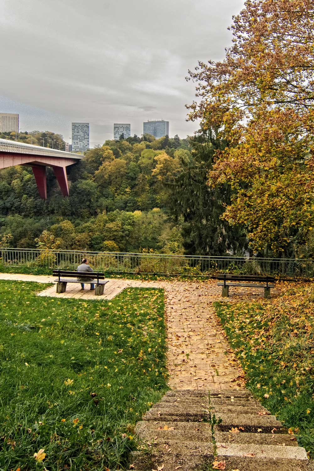 Fall colors Catalin Burlacu Luxembourg Photographer  .JPG