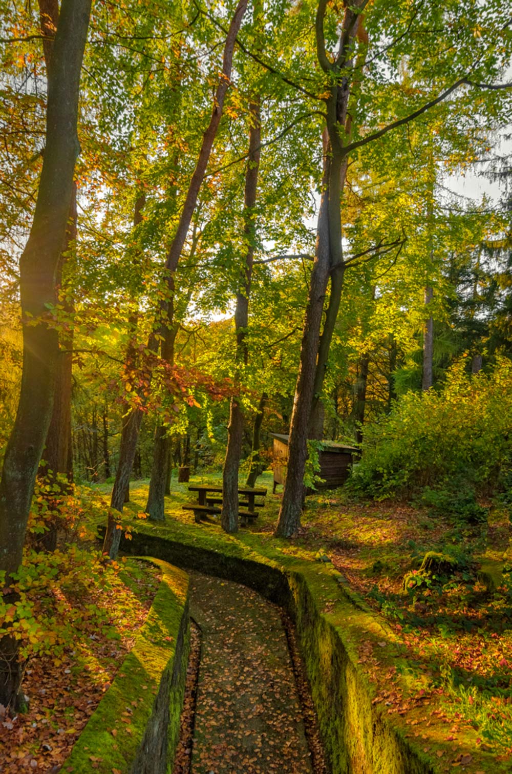 Fall colors Catalin Burlacu Luxembourg Photographer ..JPG