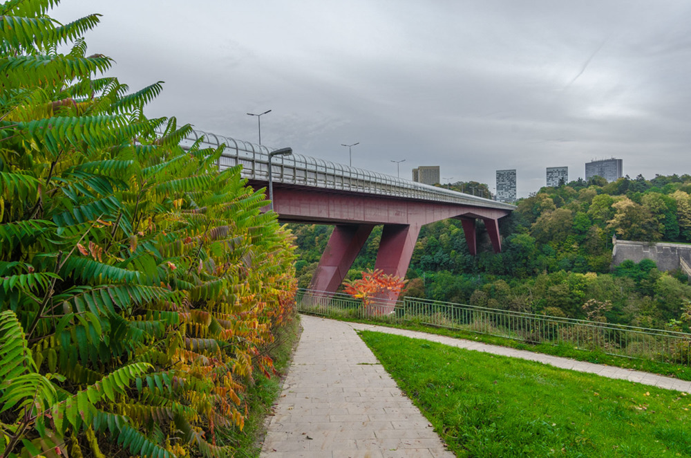 Fall colors Catalin Burlacu Luxembourg Photographer .JPG