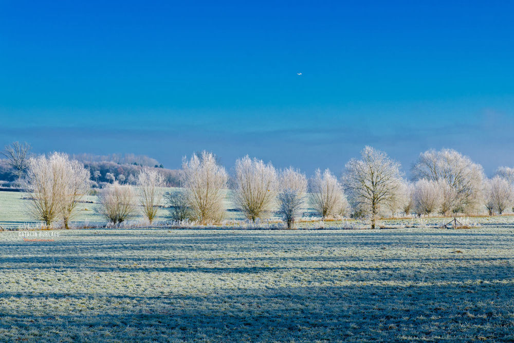 Portrait Photographer in Luxembourg | Catalin Burlacu Photography | www.ishootcolors.com | Winter in Luxembourg