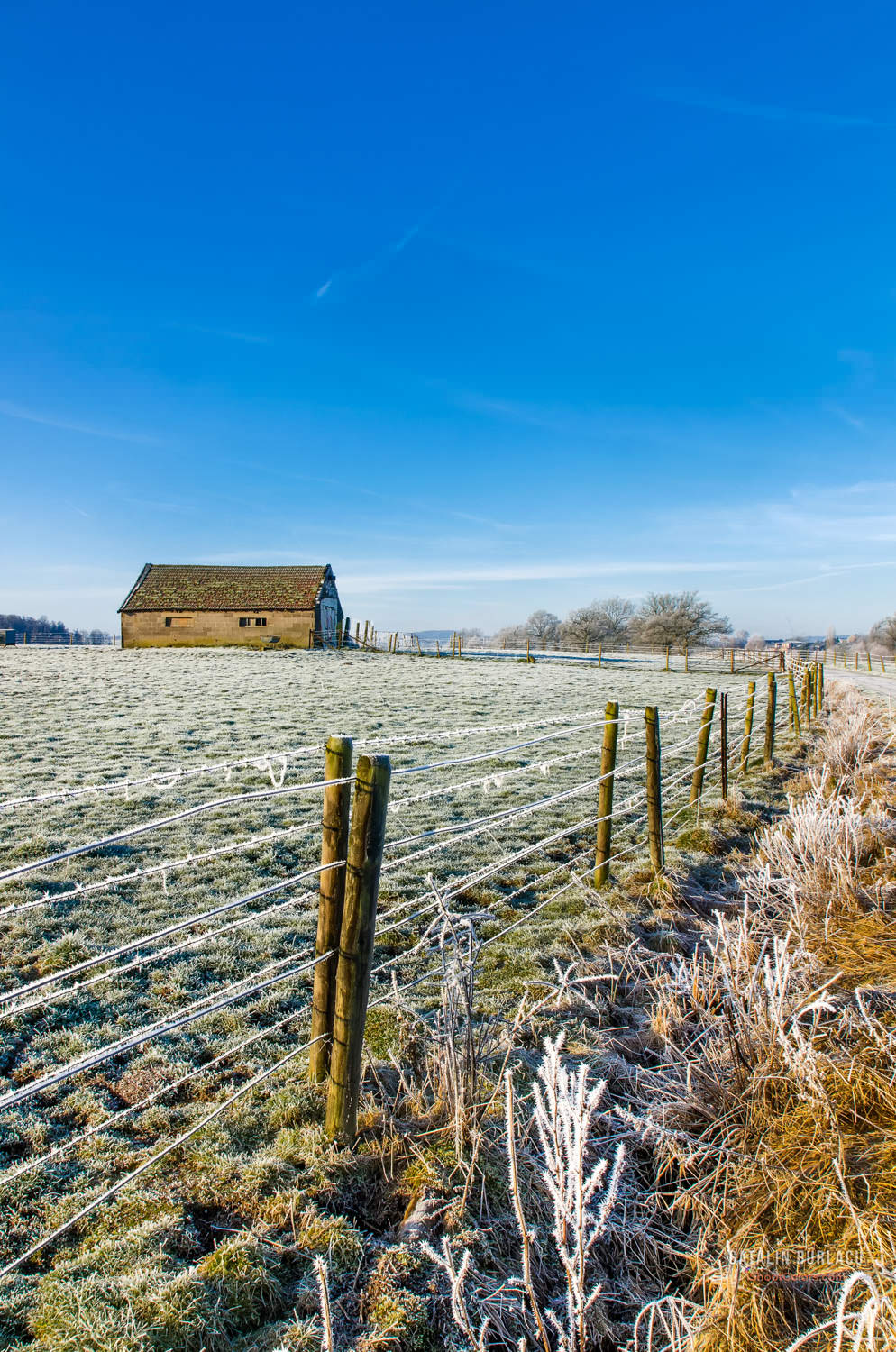 Portrait Photographer in Luxembourg | Catalin Burlacu Photography | www.ishootcolors.com | Winter in Luxembourg