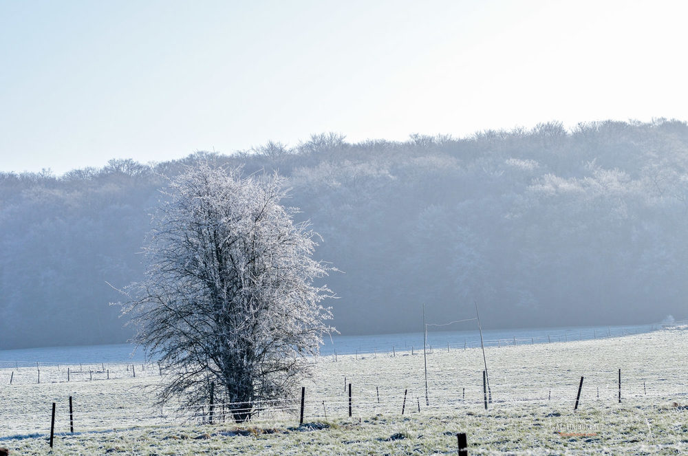 Portrait Photographer in Luxembourg | Catalin Burlacu Photography | www.ishootcolors.com | Winter in Luxembourg