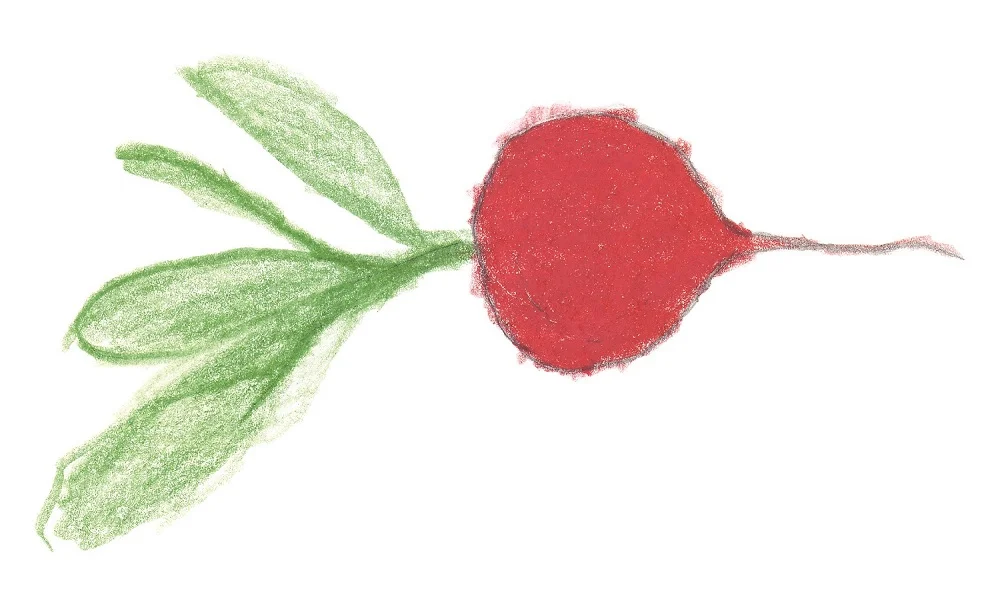 Crescent City Farmers Market with Octavia Books