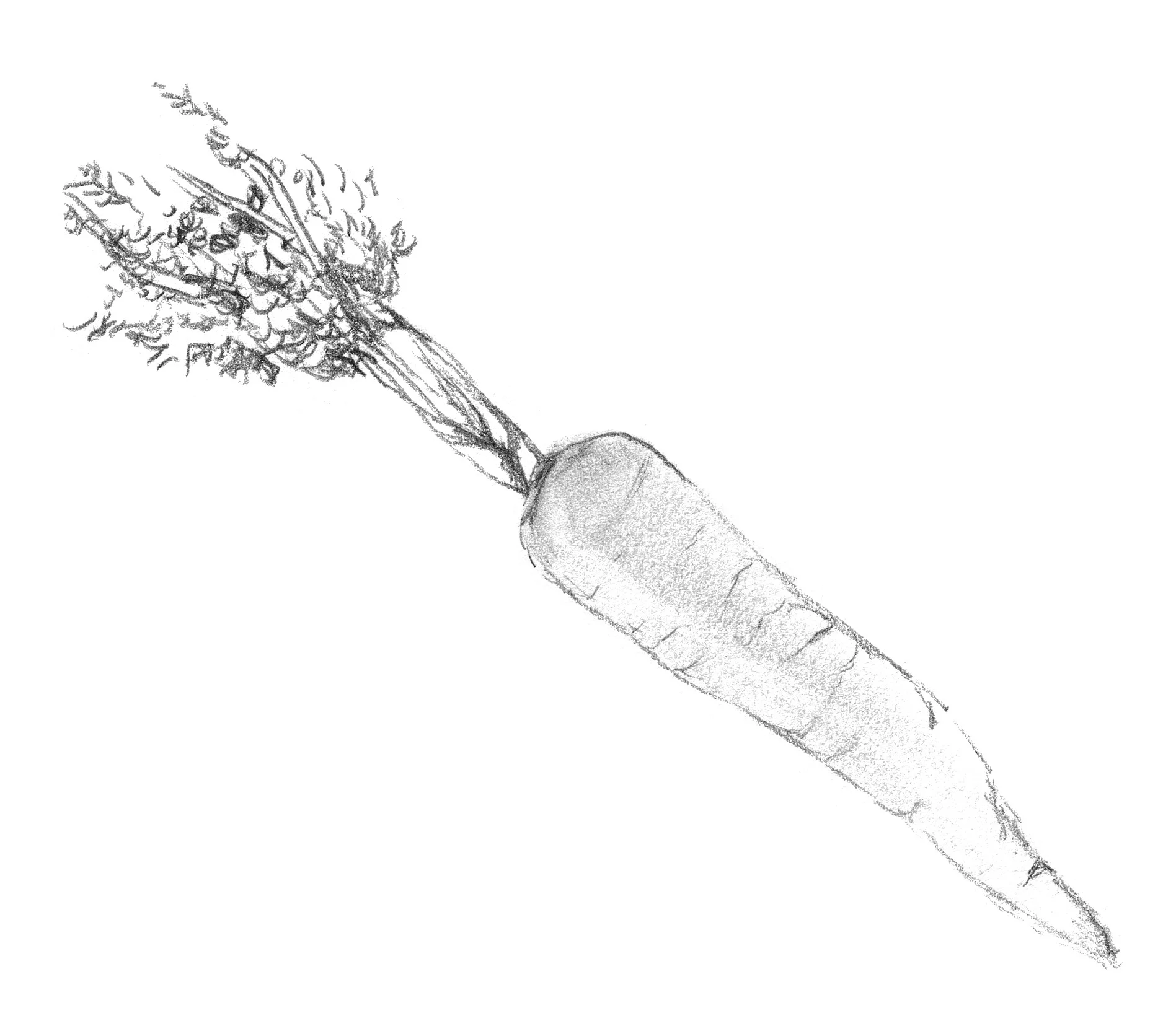 Left Bank Brasserie, Larkspur