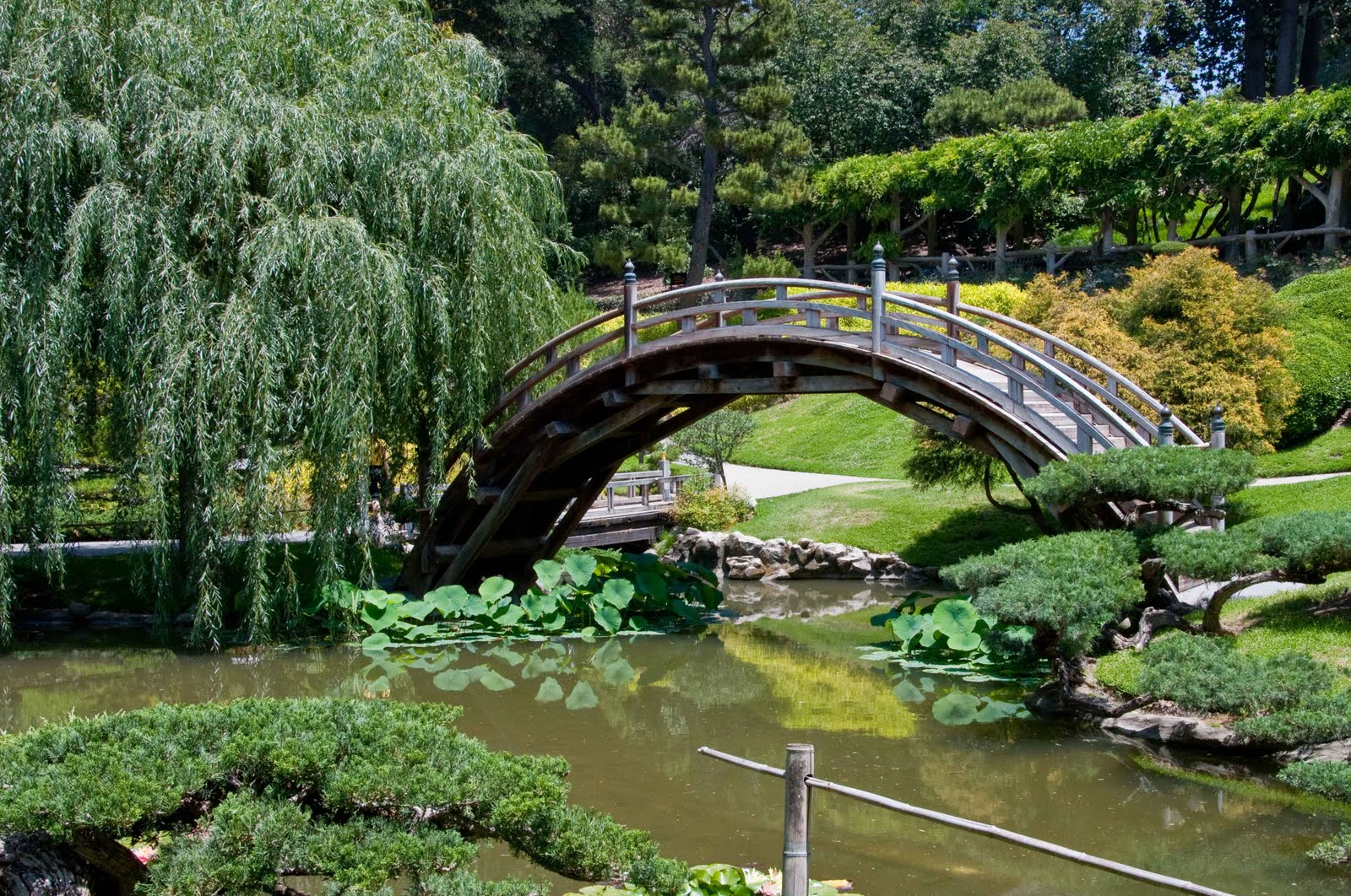 The Mildred E. Mathias Botanical Garden