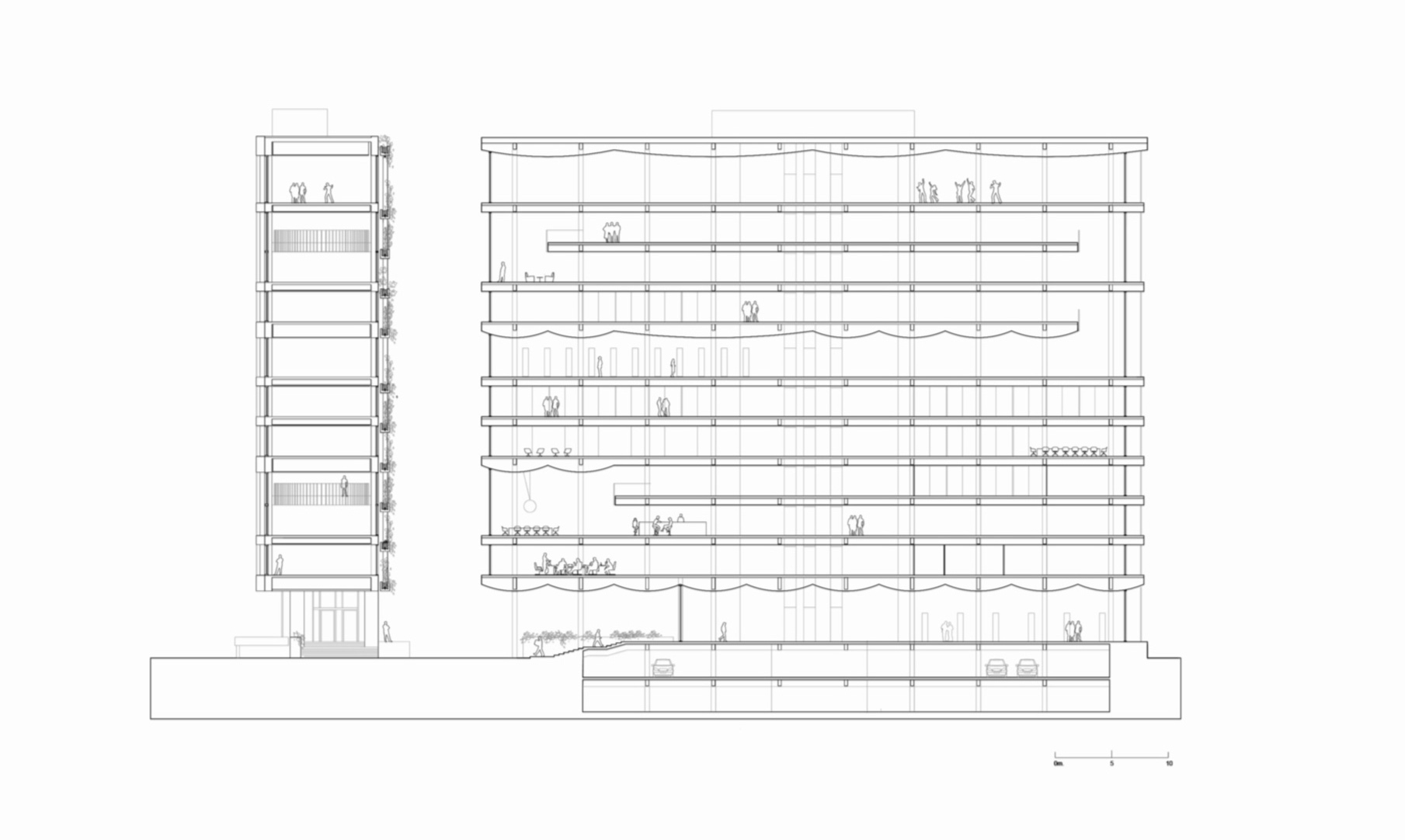 HOUT-BERC_D-SECTIONS.jpg