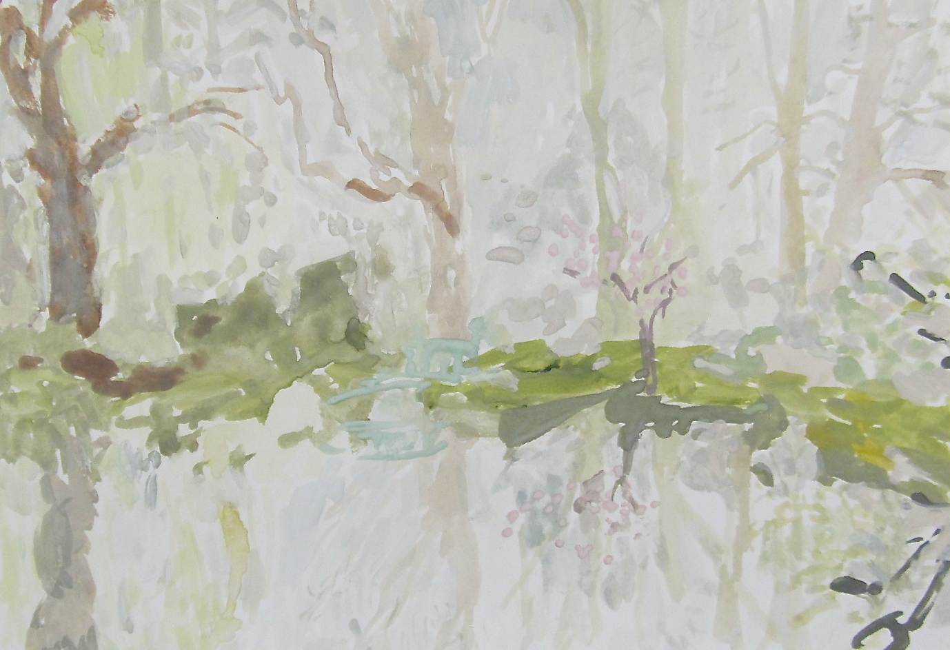 Morning Fog Water Garden 3