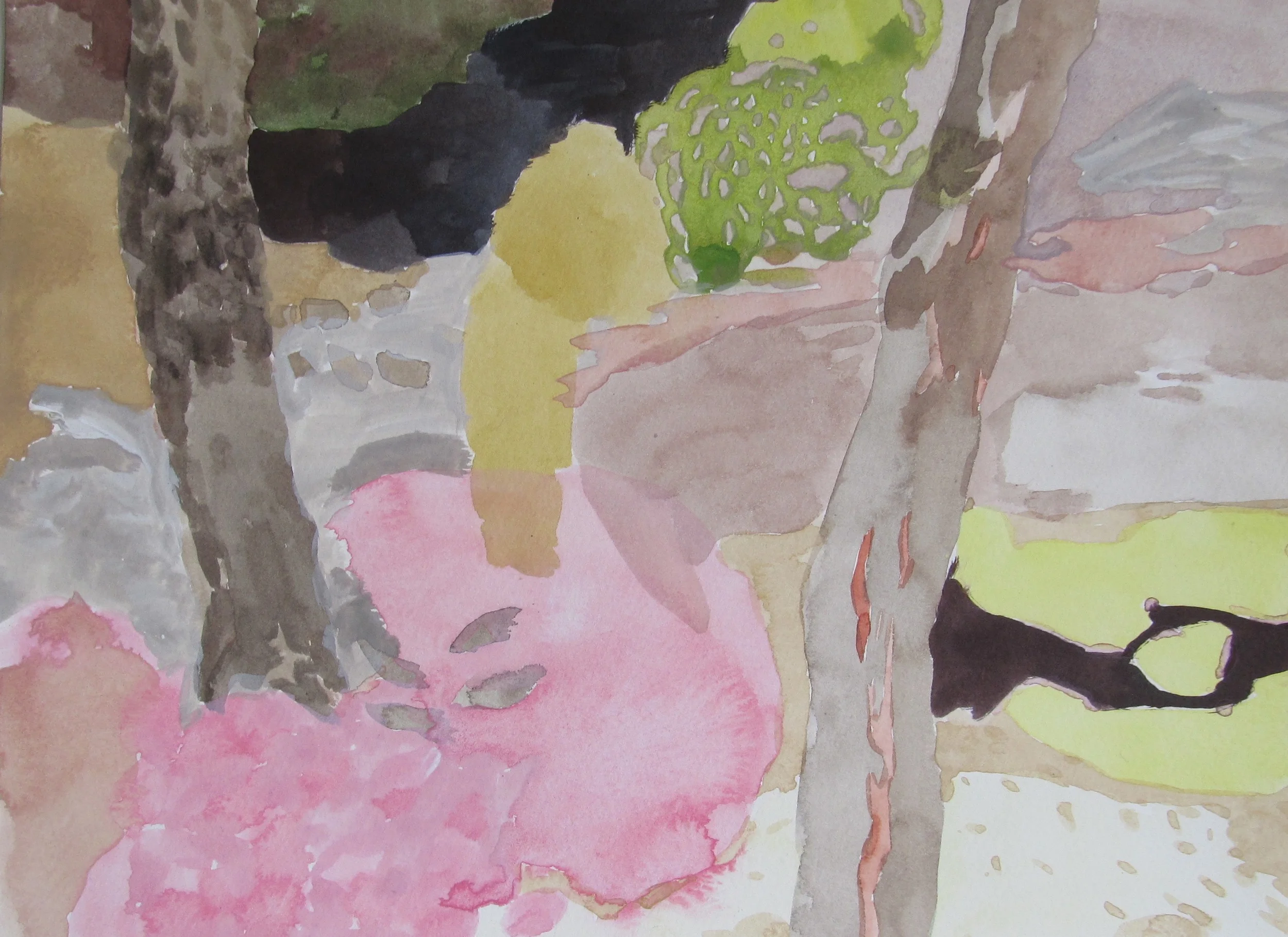 Forest 3 4.15 Watercolour .jpg