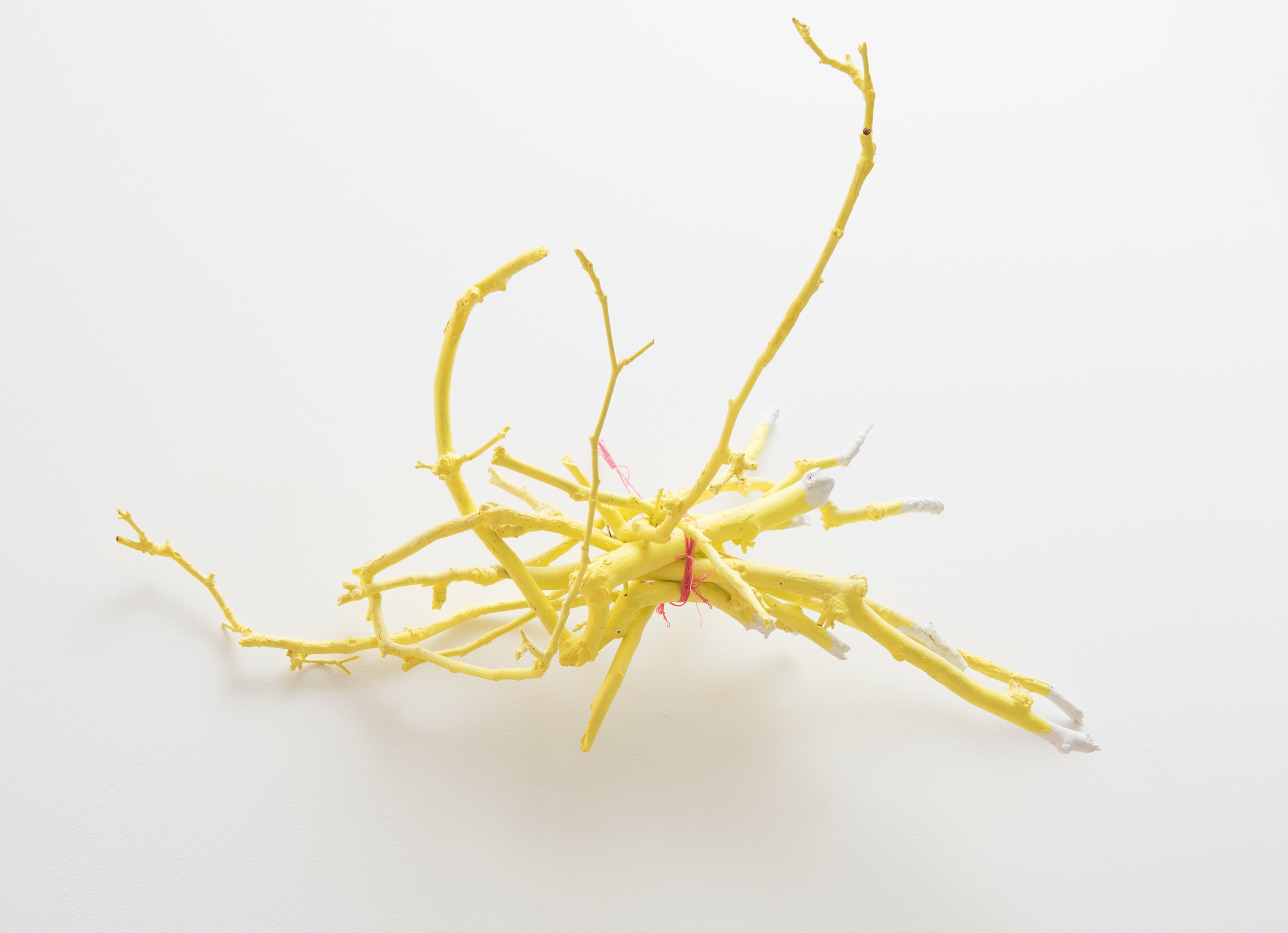 Yellow sticks, 2016
