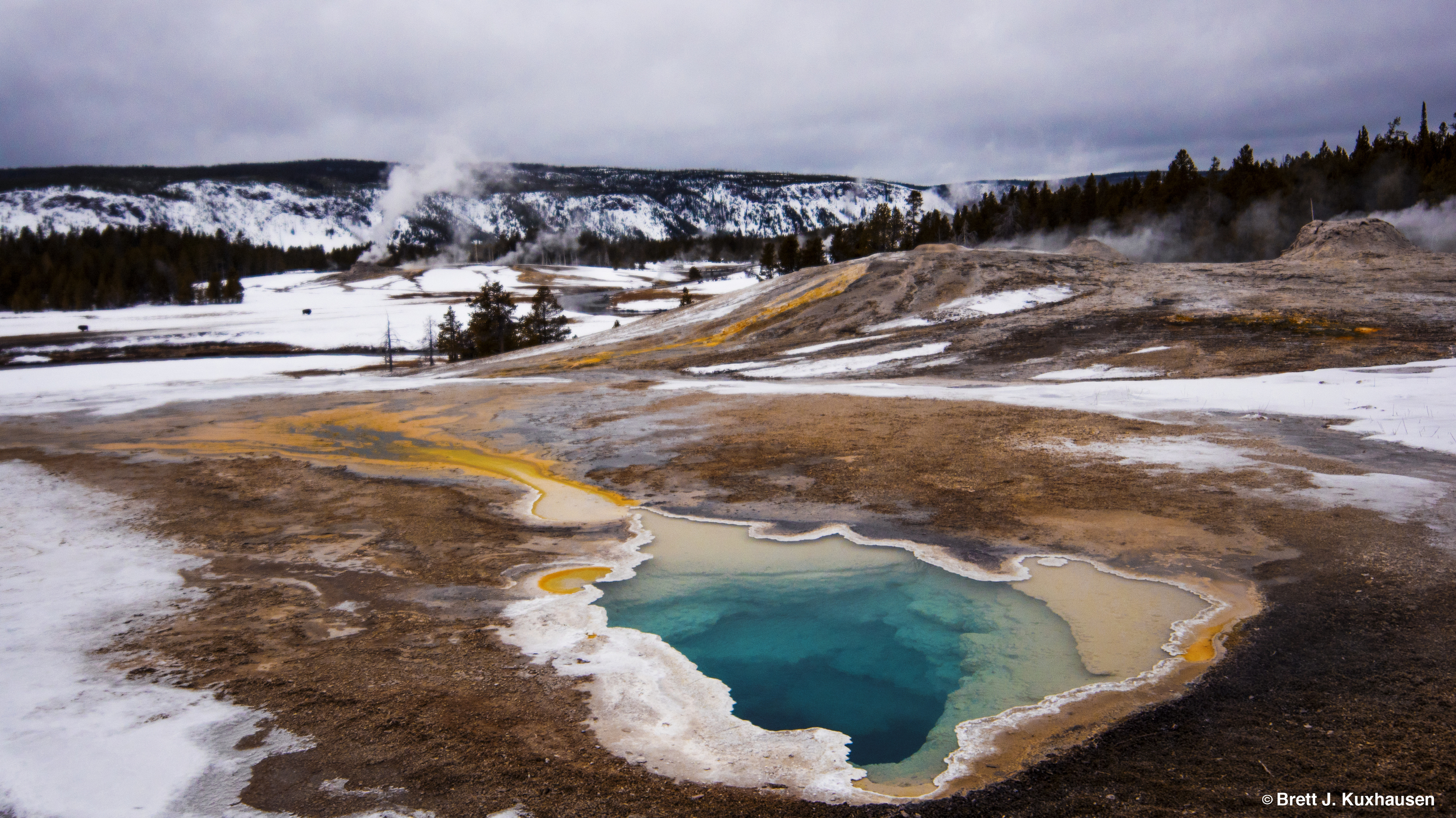Blue Star Spring