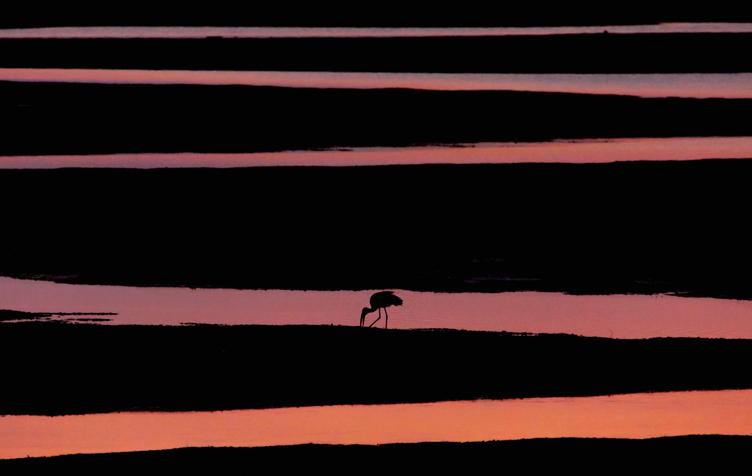 GG_2019_04B_STILL_5D_0764.jpeg