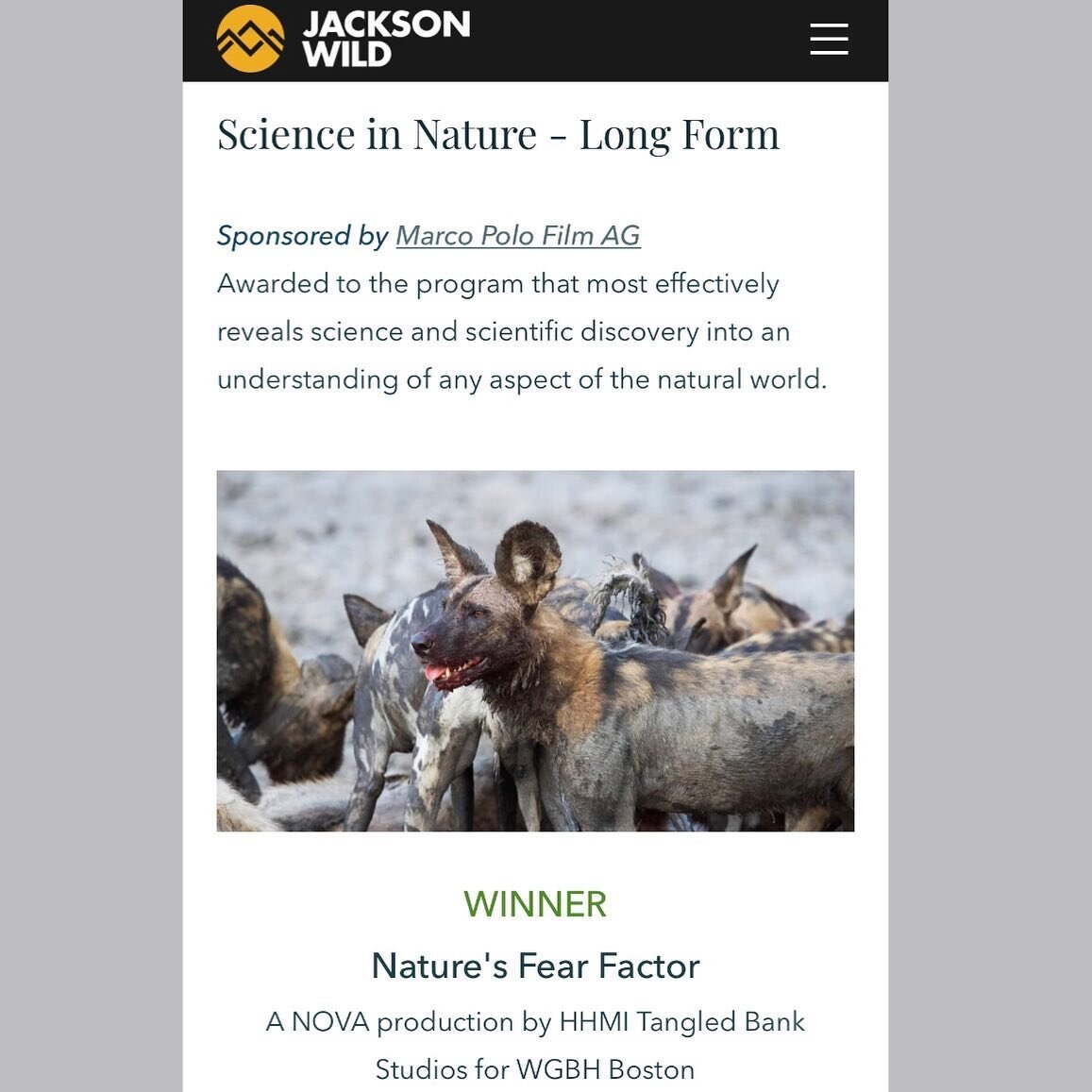 Last night our film, Nature&rsquo;s Fear Factor, won at Jackson Wild Film Festival for best Science in Nature documentary. Congrats to the whole team at @tangledbankhhmi and @novapbs, I&rsquo;m feeling pretty grateful to continue to tell the story of