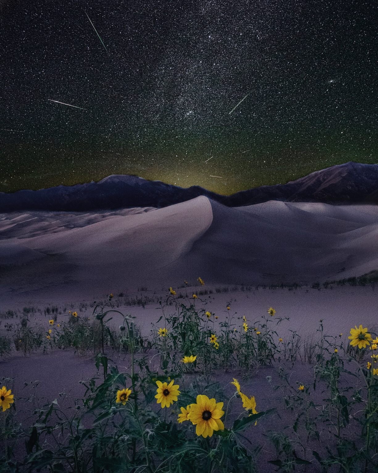 The Perseid meteor shower slaps me yearly with a lesson in perspective. #perseids #astrophotography #greatsanddunesnationalpark #colorado