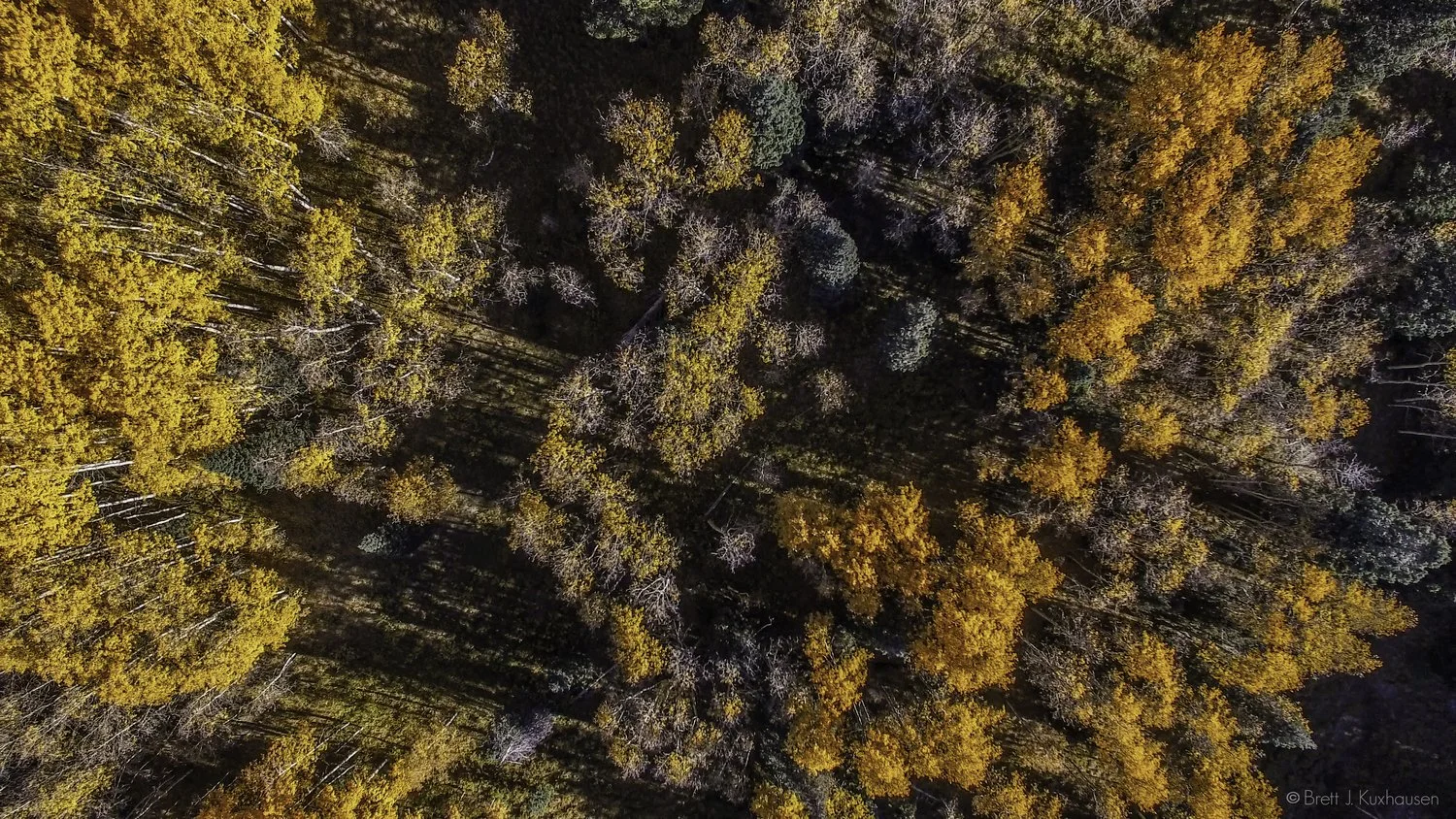 image-asset (7).jpeg