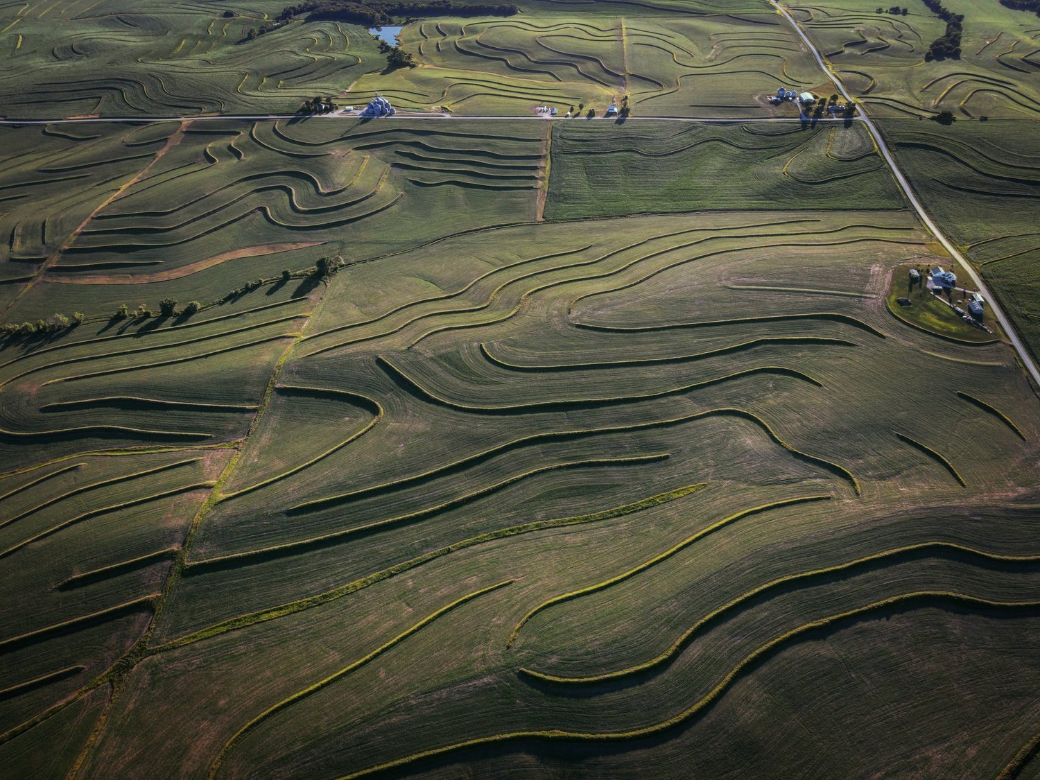 image-asset (8).jpeg