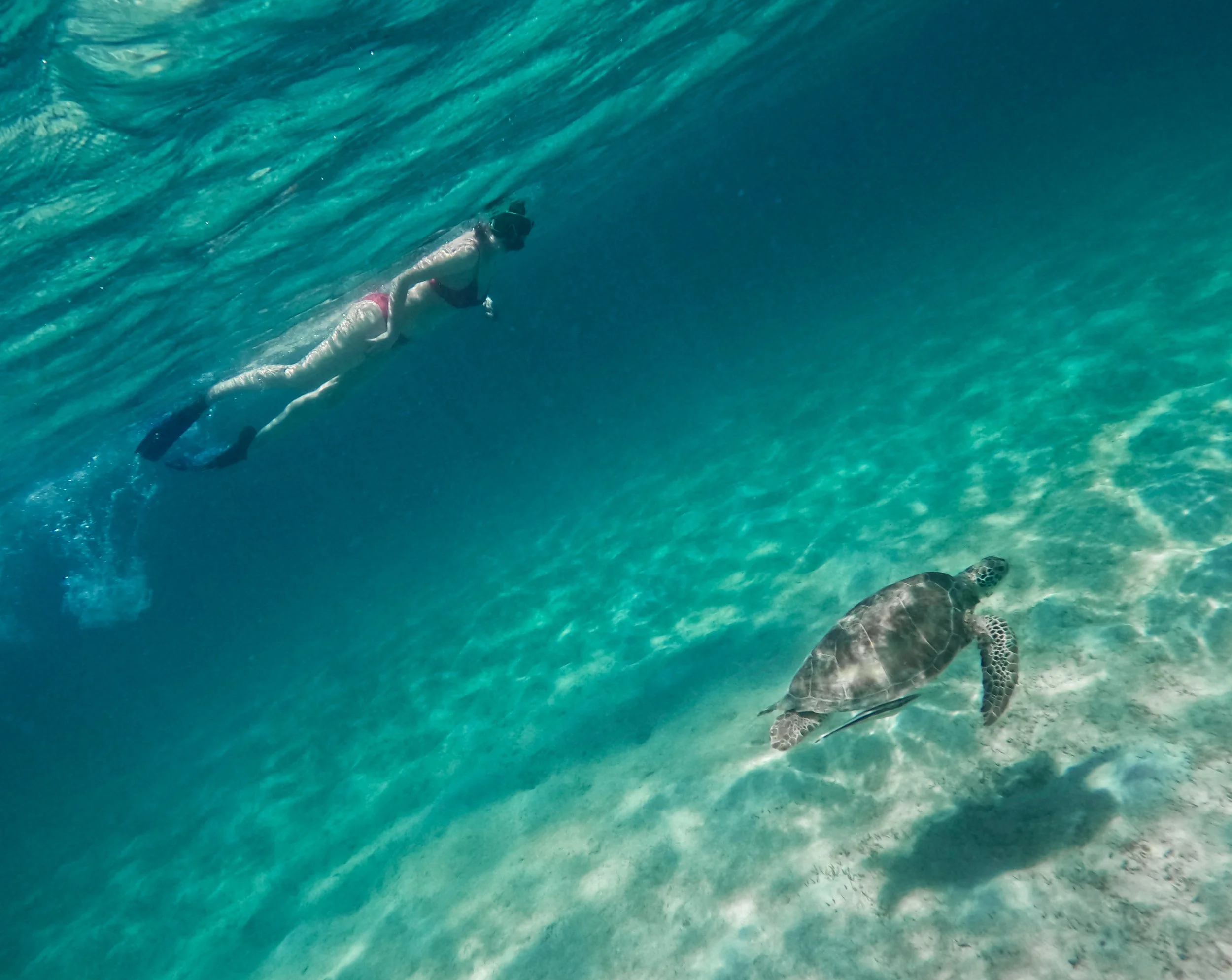 G0441307.jpg