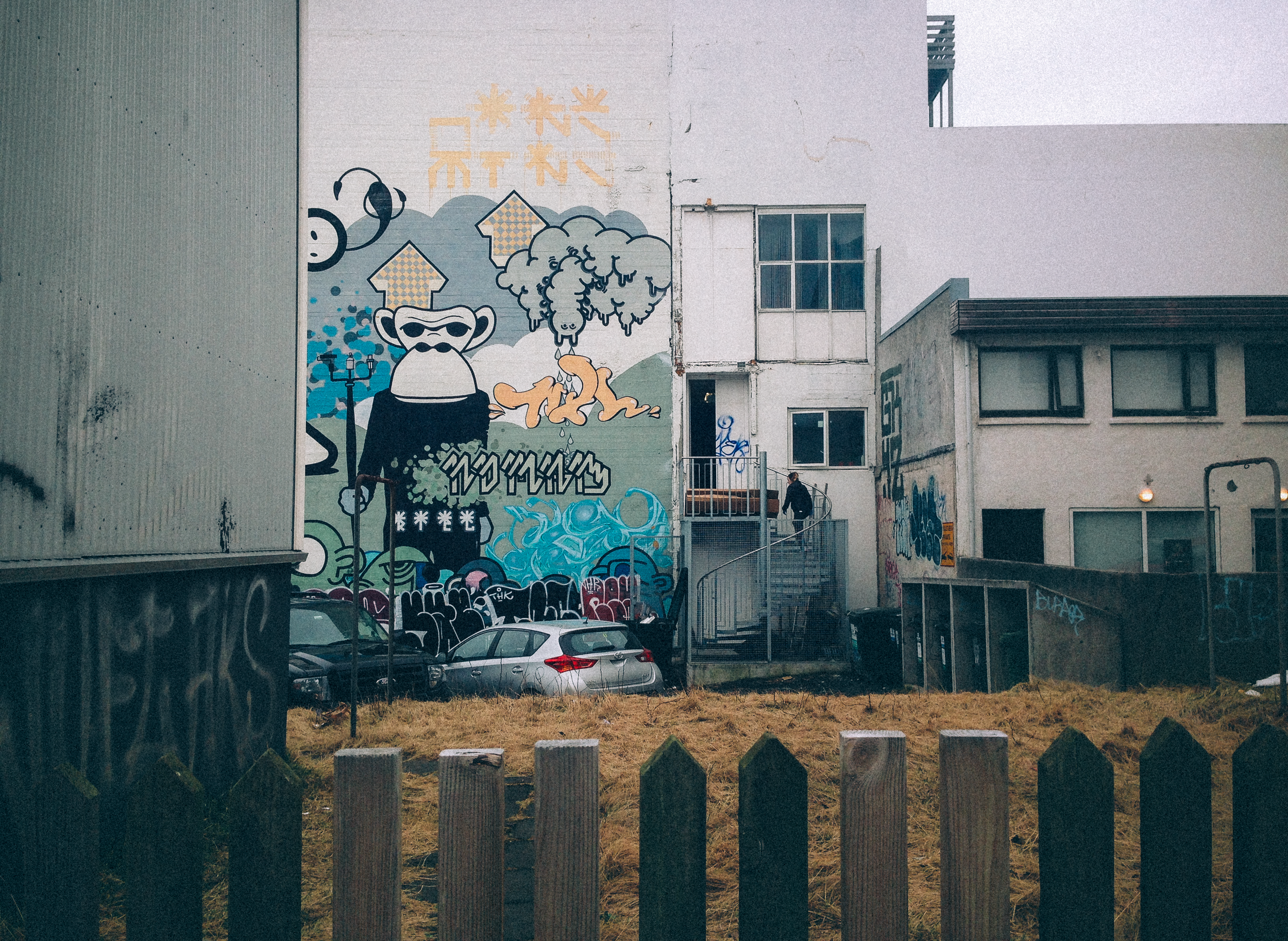 IMG_2318-2.png
