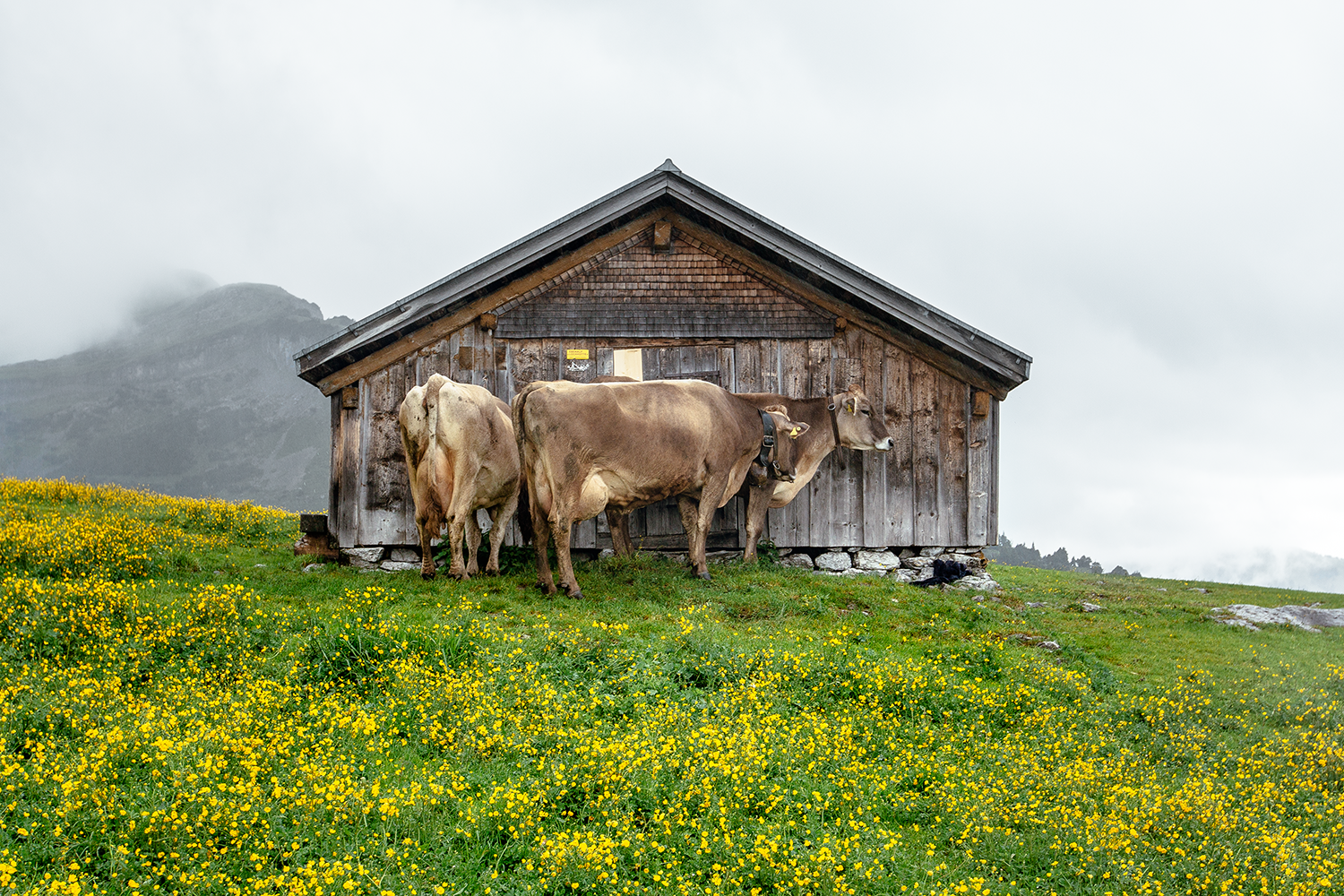 Switzerland-2015-5.png