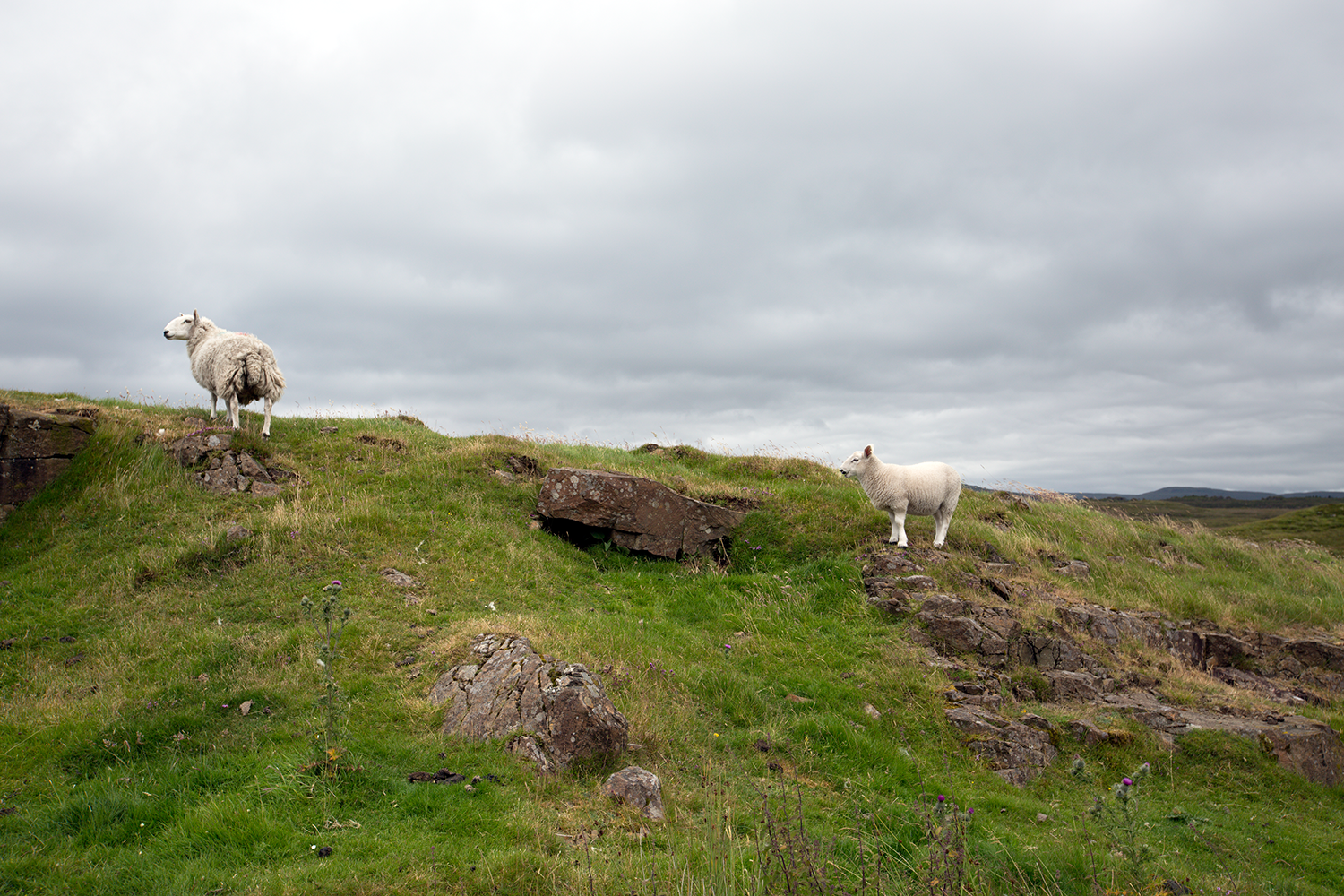 Scotland-29.png