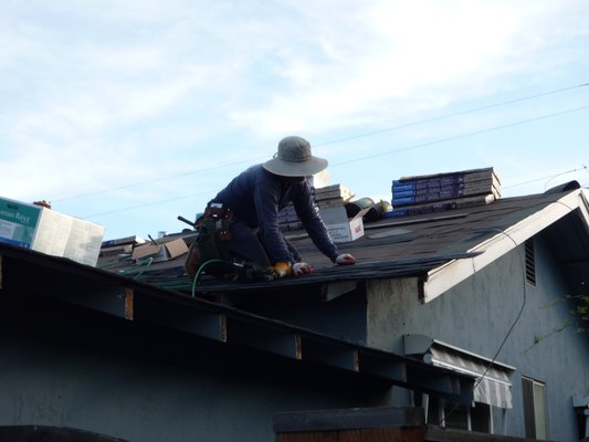 Composition Roof Landmark Pro