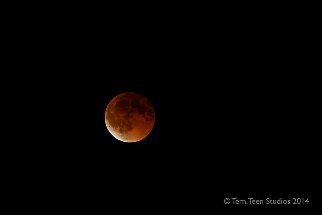 This photo was taken between April 14-15 of this year, 2014
