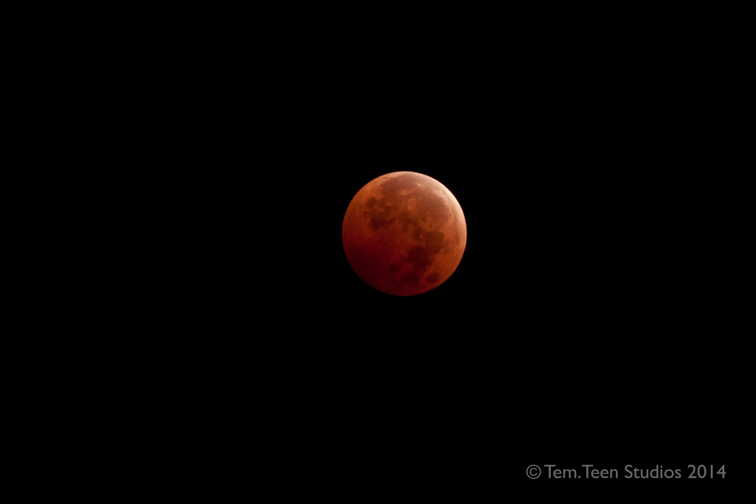 T1i with a 300mm lens