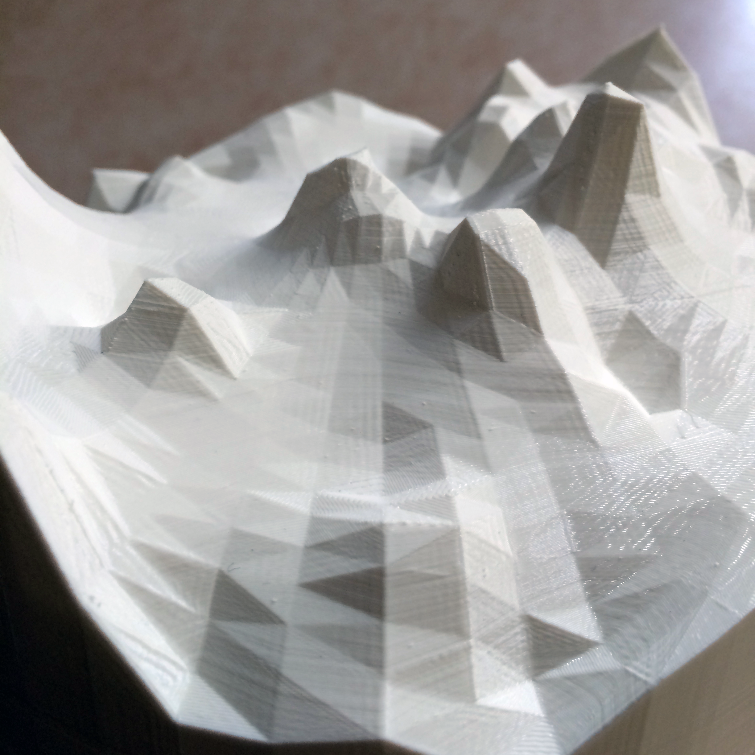 Parametric++-Generative-Form-Processing-Makerbot-2.png
