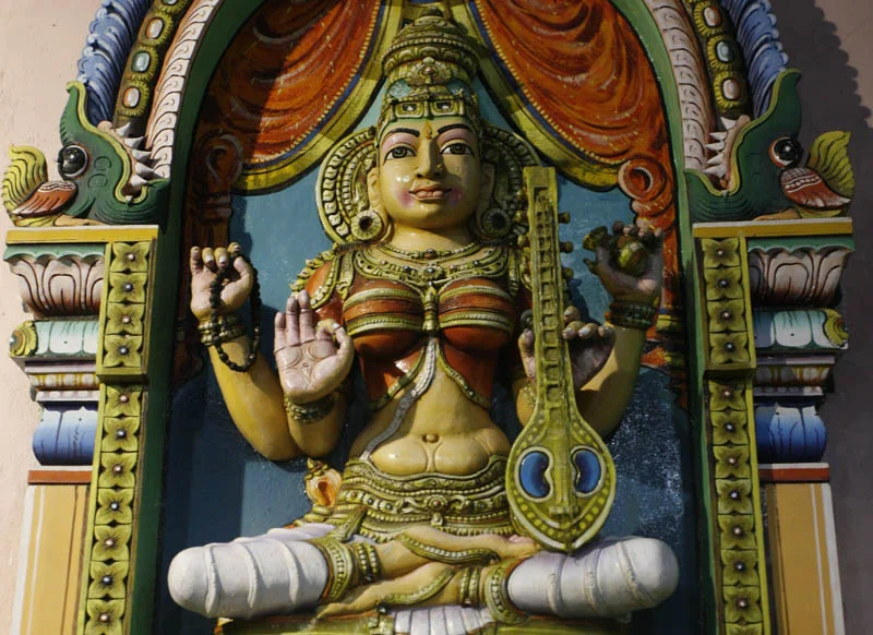 vaani-web.jpg