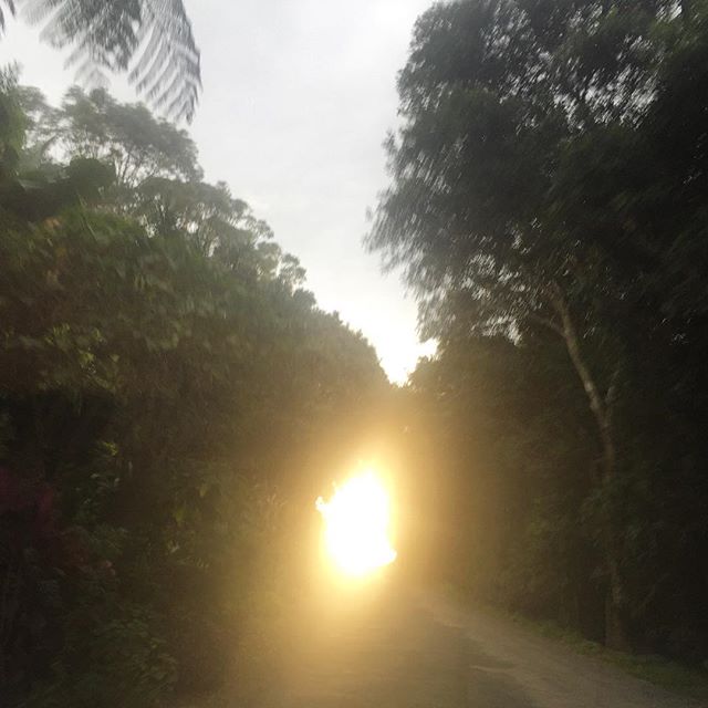 Entering the light, driving in byron.