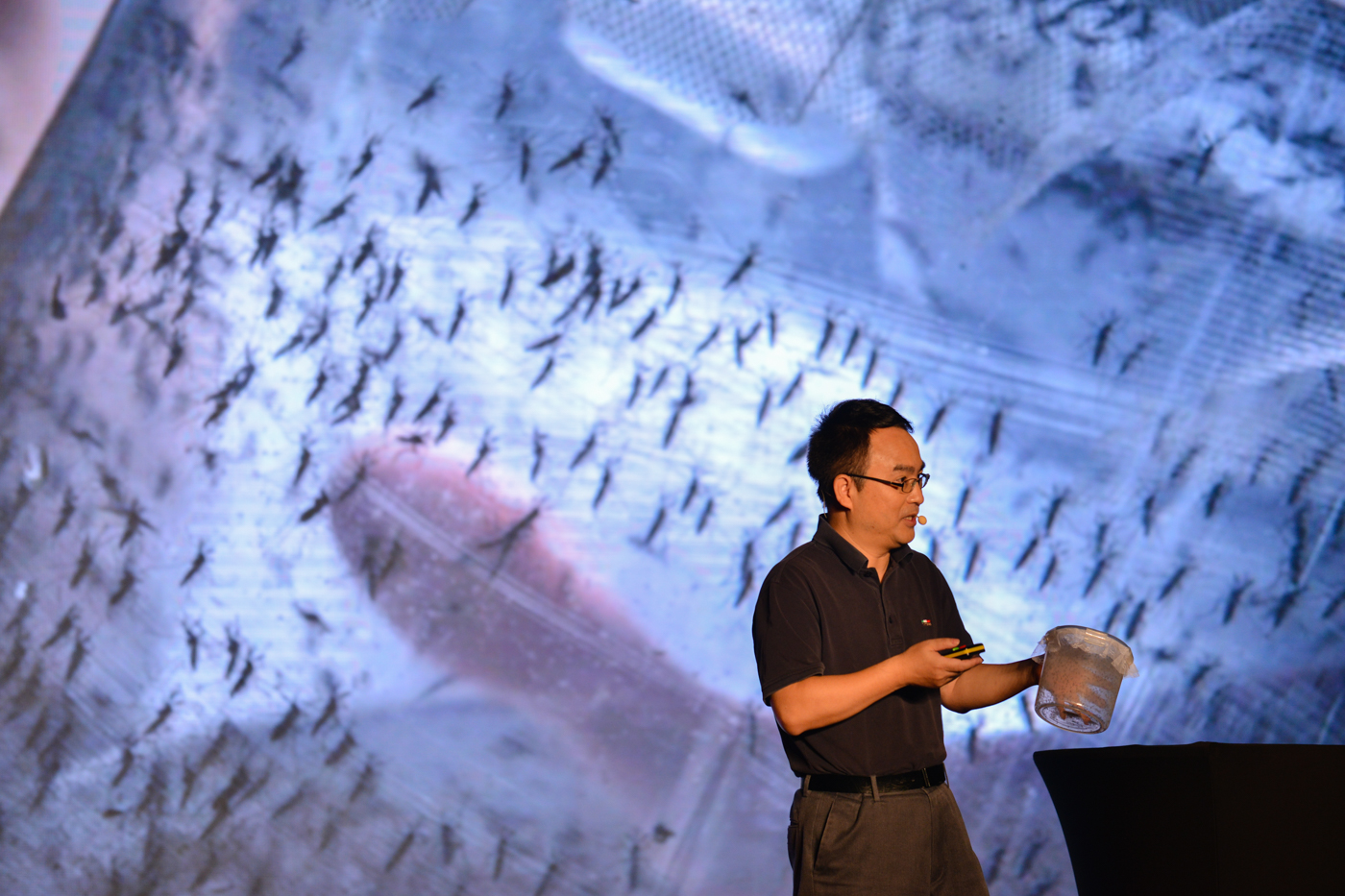CSC_3851.jpg