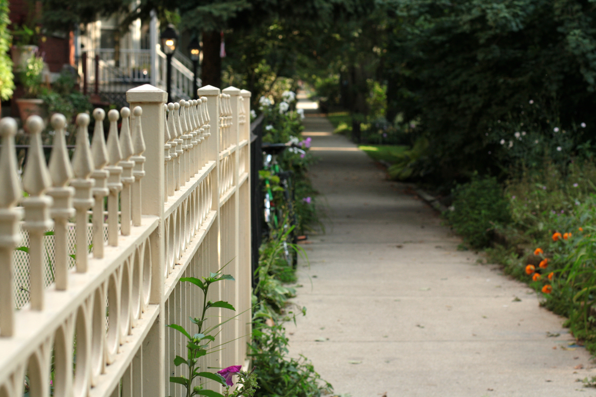 Walking along Kenmore Street