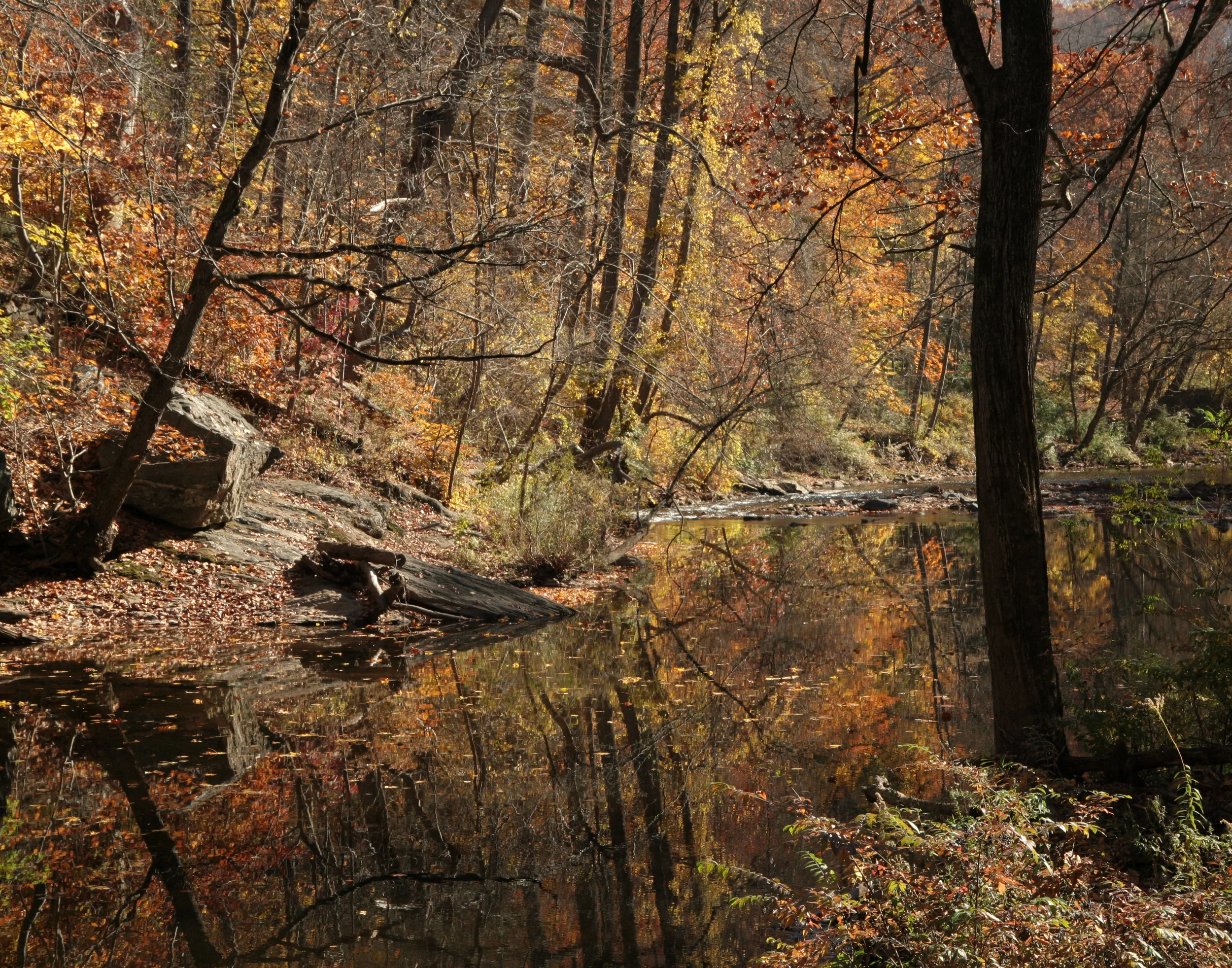 November