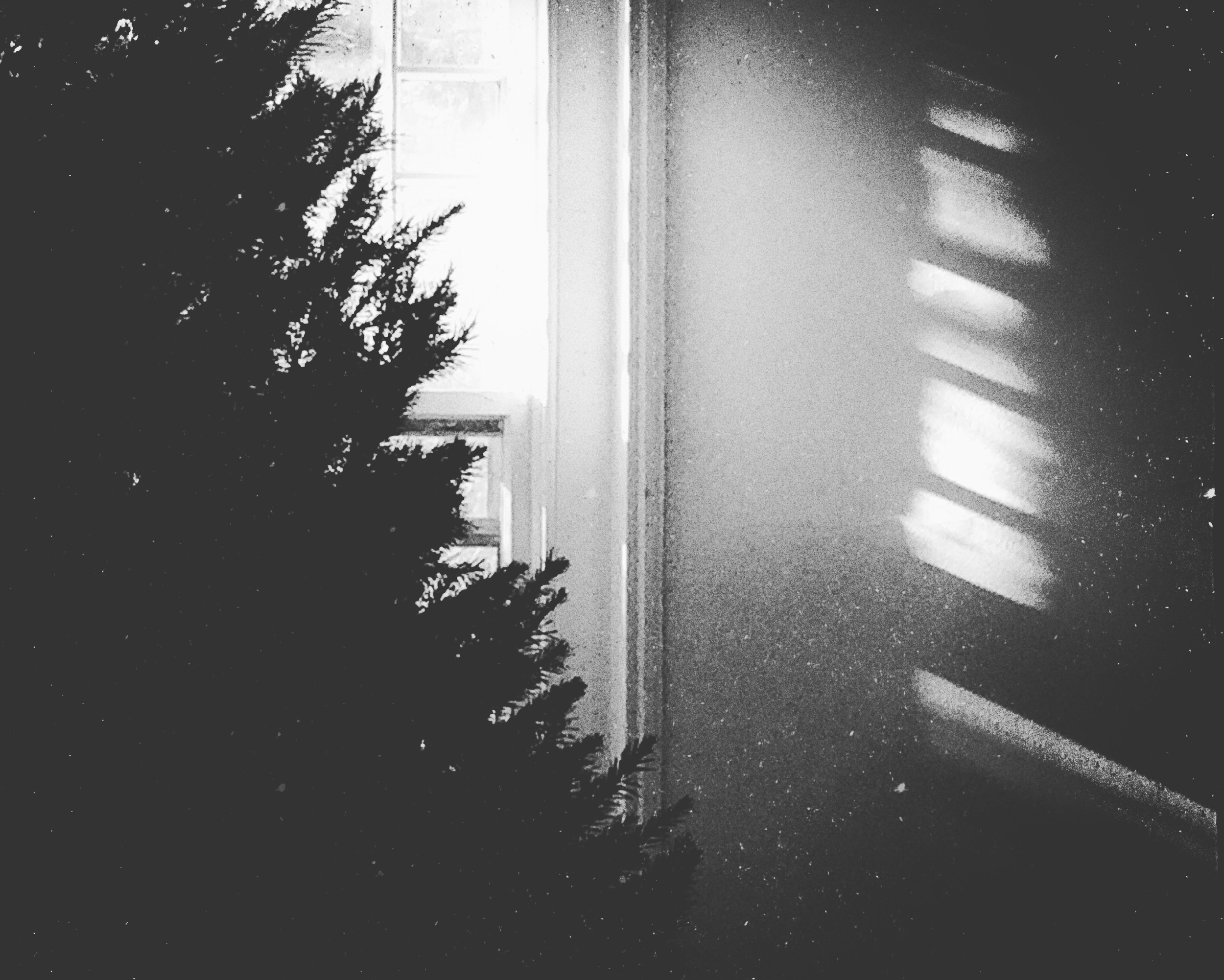 File Dec 11, 10 41 30 AM.jpeg