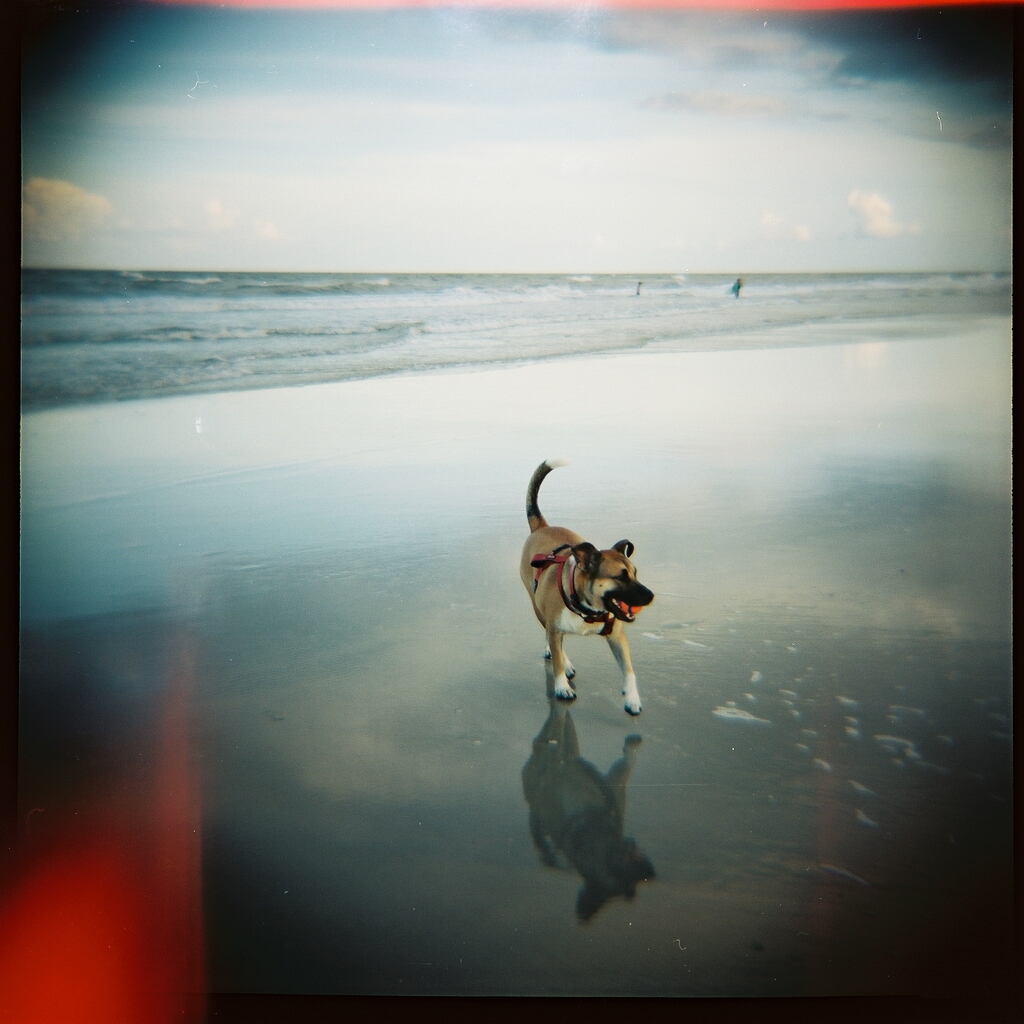 Trailer, St. Augustine Beach, Sunset. Kodak Portra 400