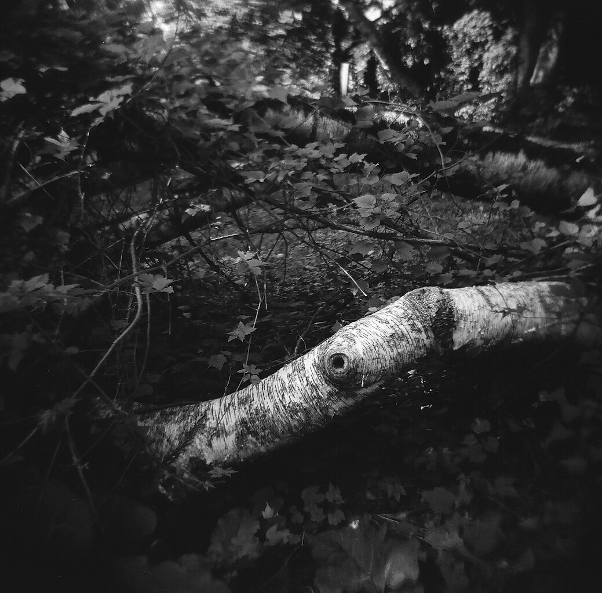 untitled-52untitled-521.jpg