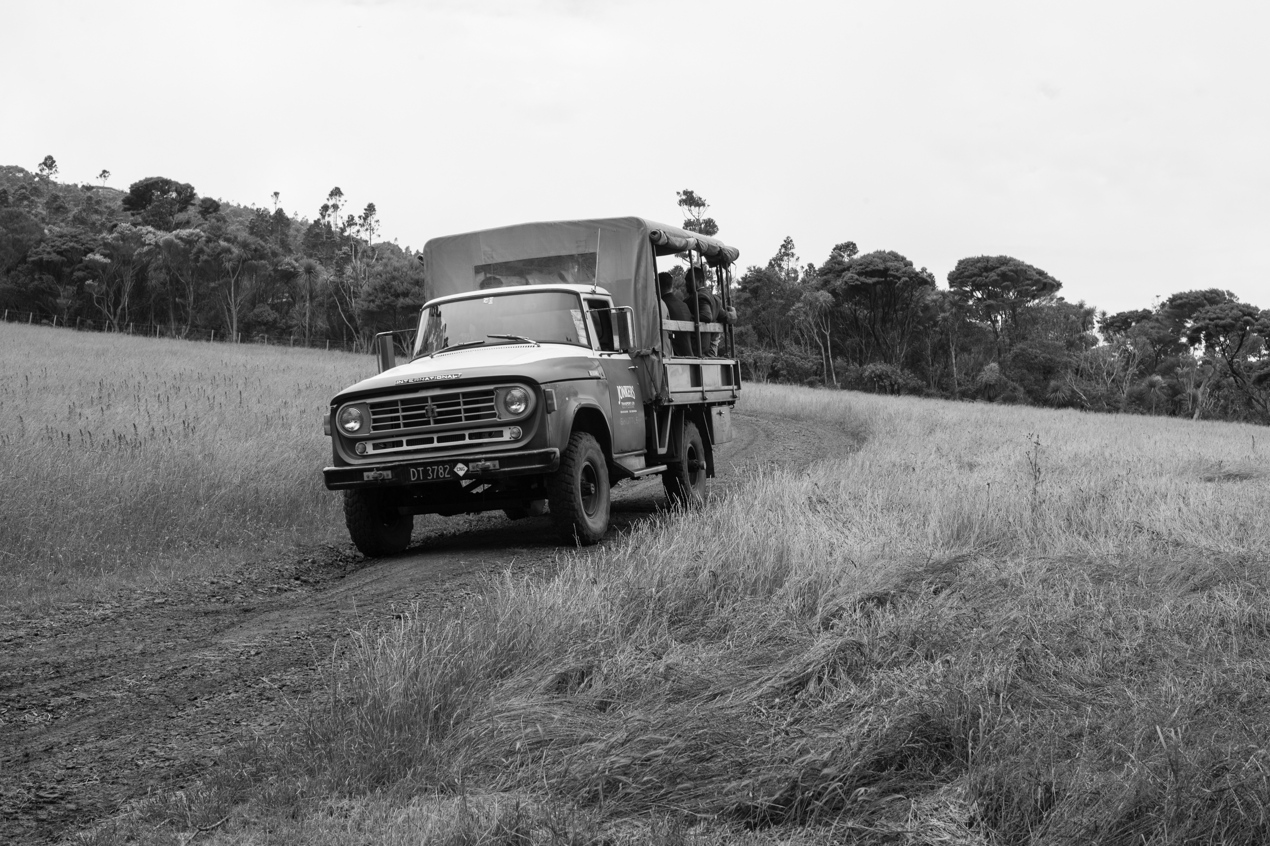 wedding truck (5 of 6).jpg