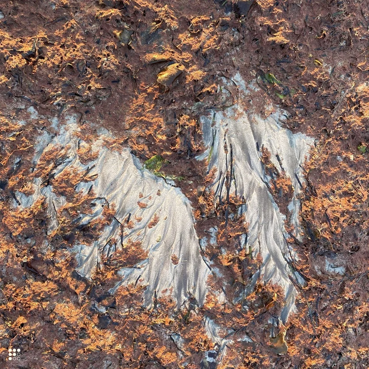 Robert Gerard Pietrusko, «Cadence»