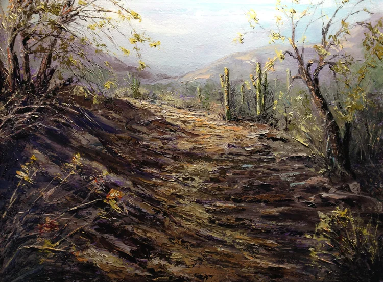 Hike through the Shadows Beegle collection
