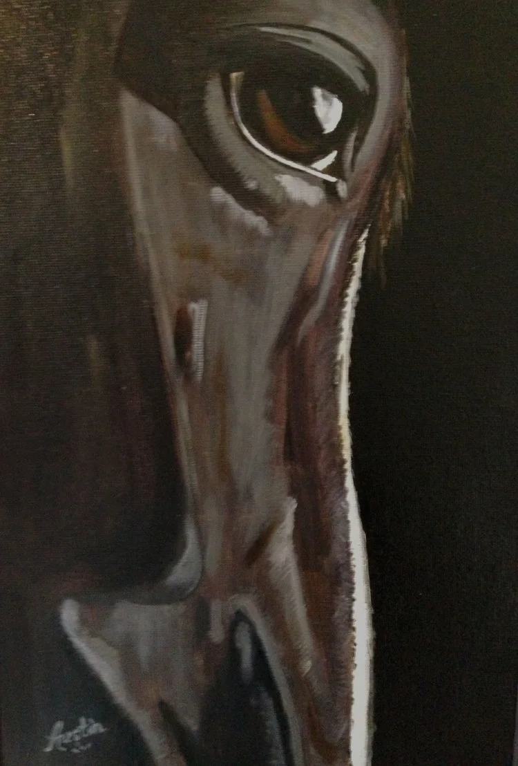 Eye of the Horse Garcia Collection