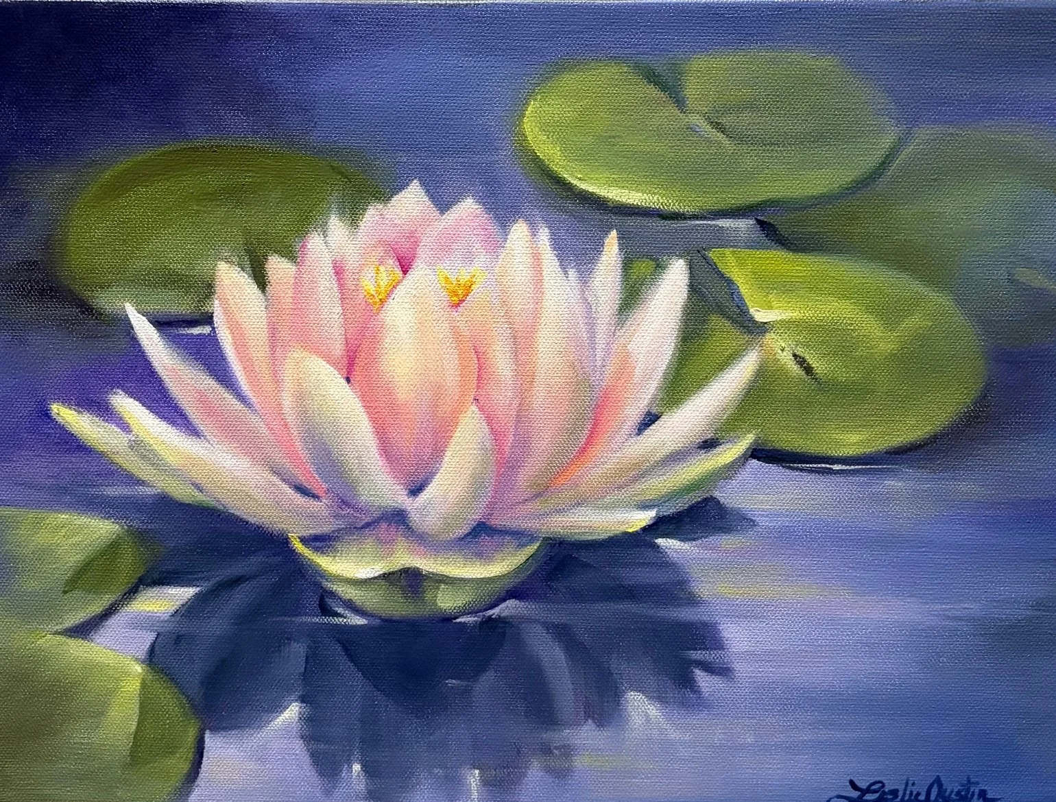 Reflections of a Water Lilly