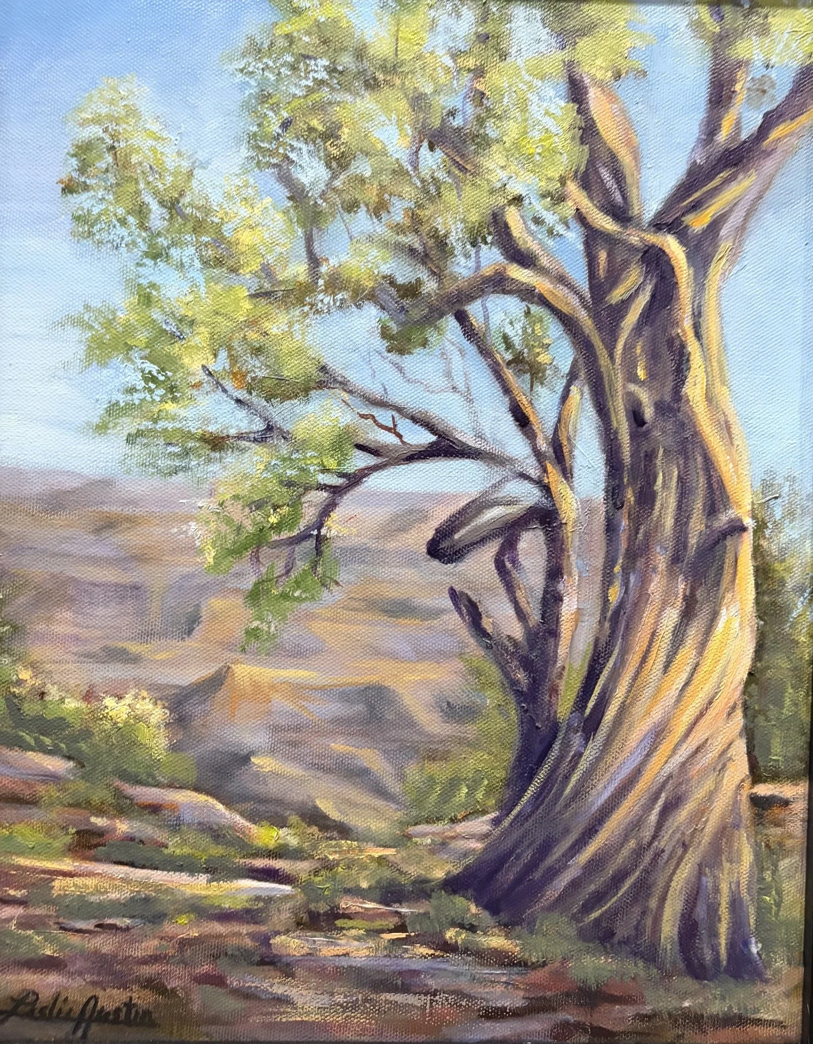 Canyon Treasure