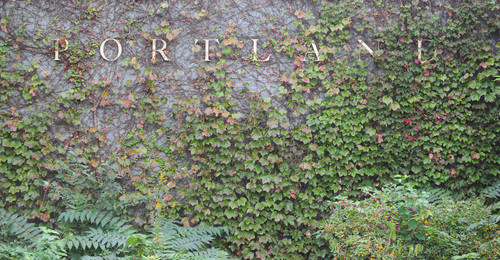 ivy portland museum.jpg