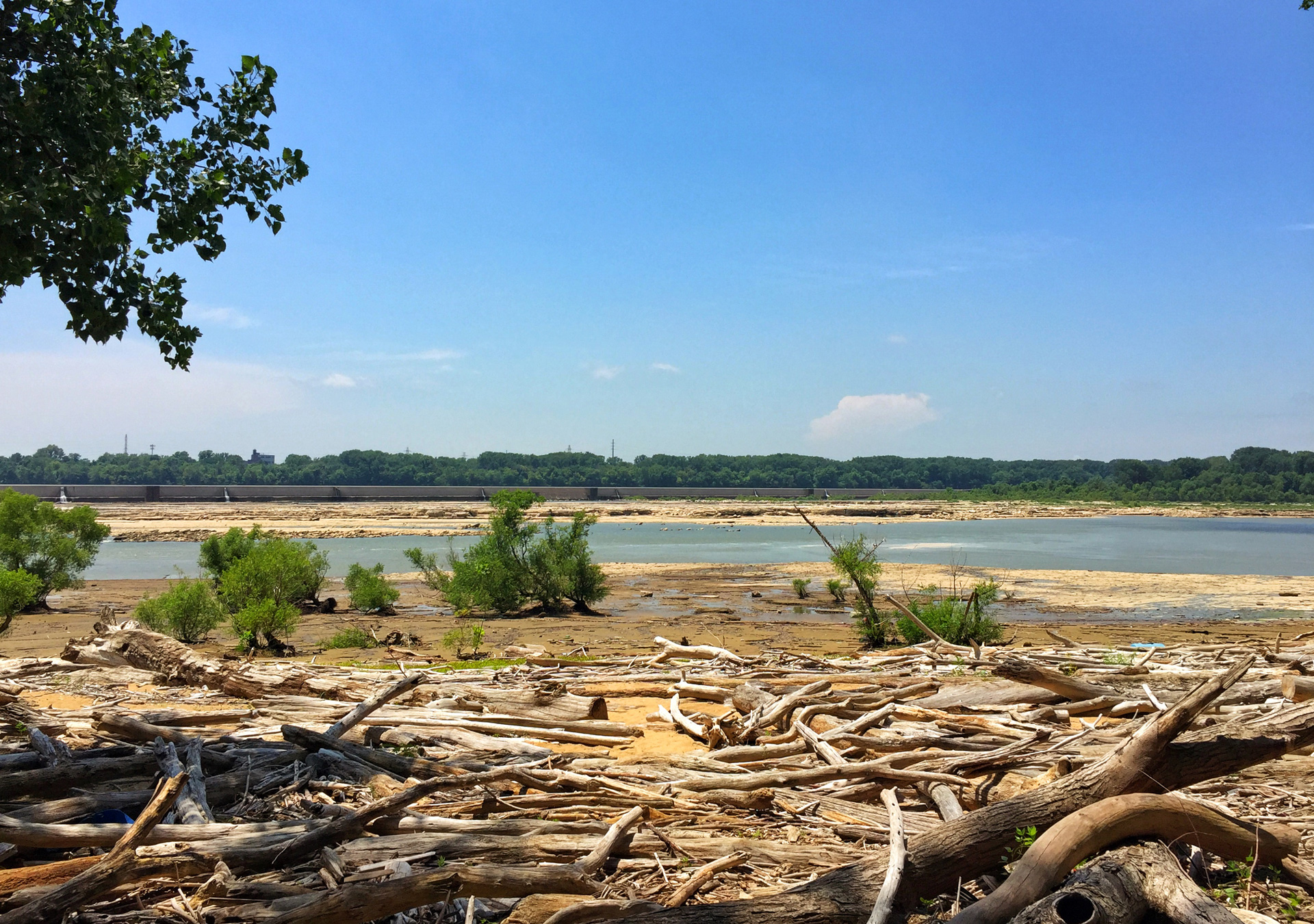 Falls of the Ohio, Fossil Beds