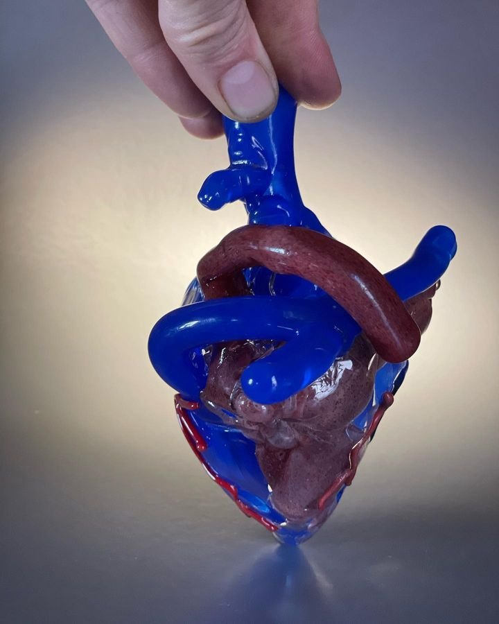 Anatomical Glass Heart