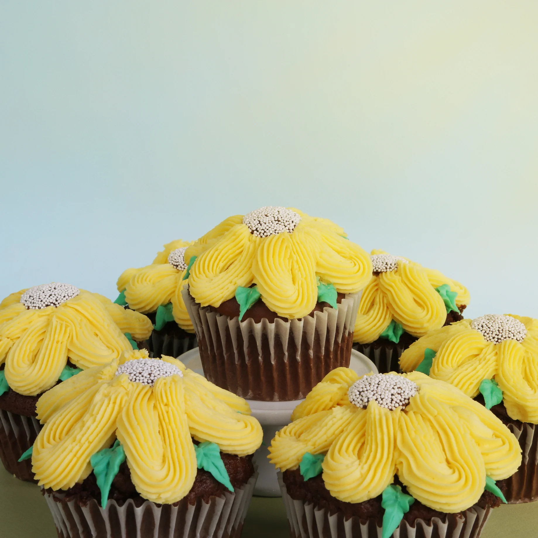 cupcake_edited.jpg