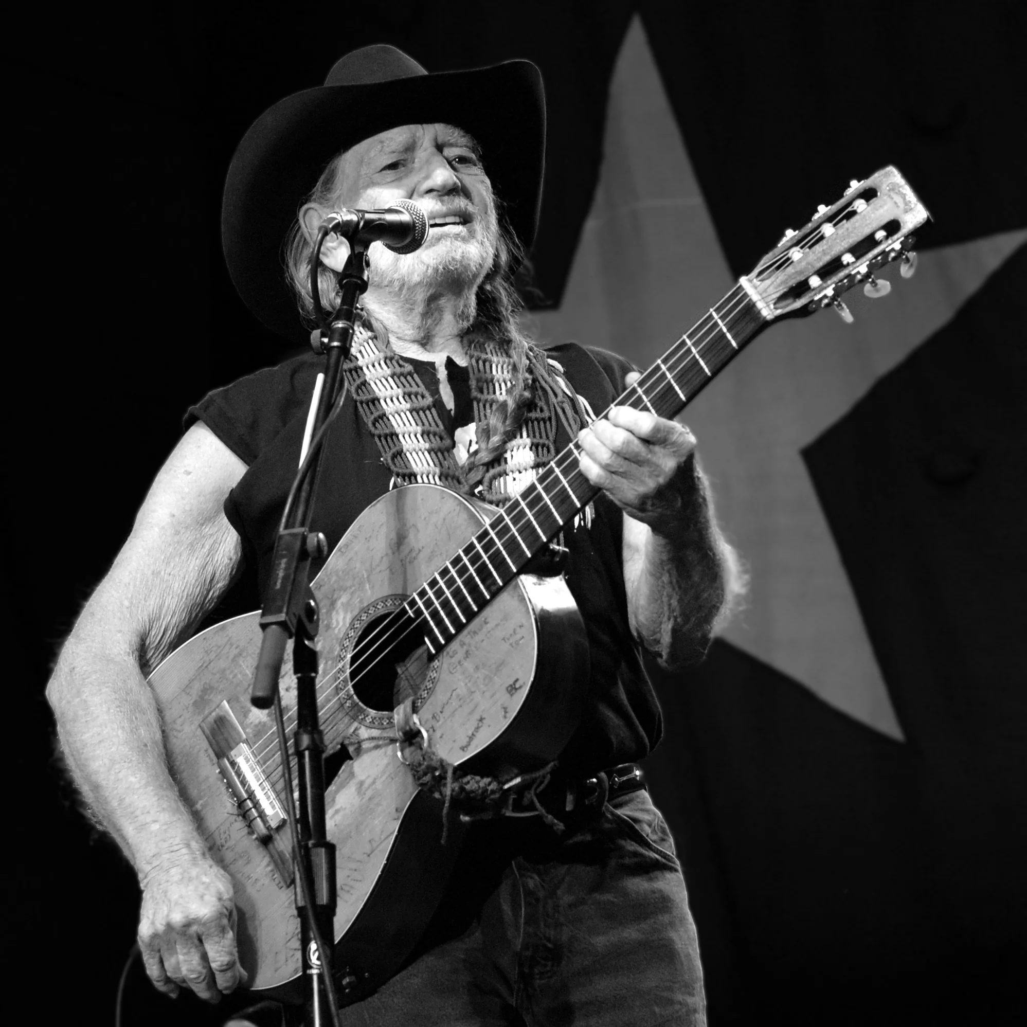 Willie_Nelson_in_Redmond,_Washington_2008.jpg