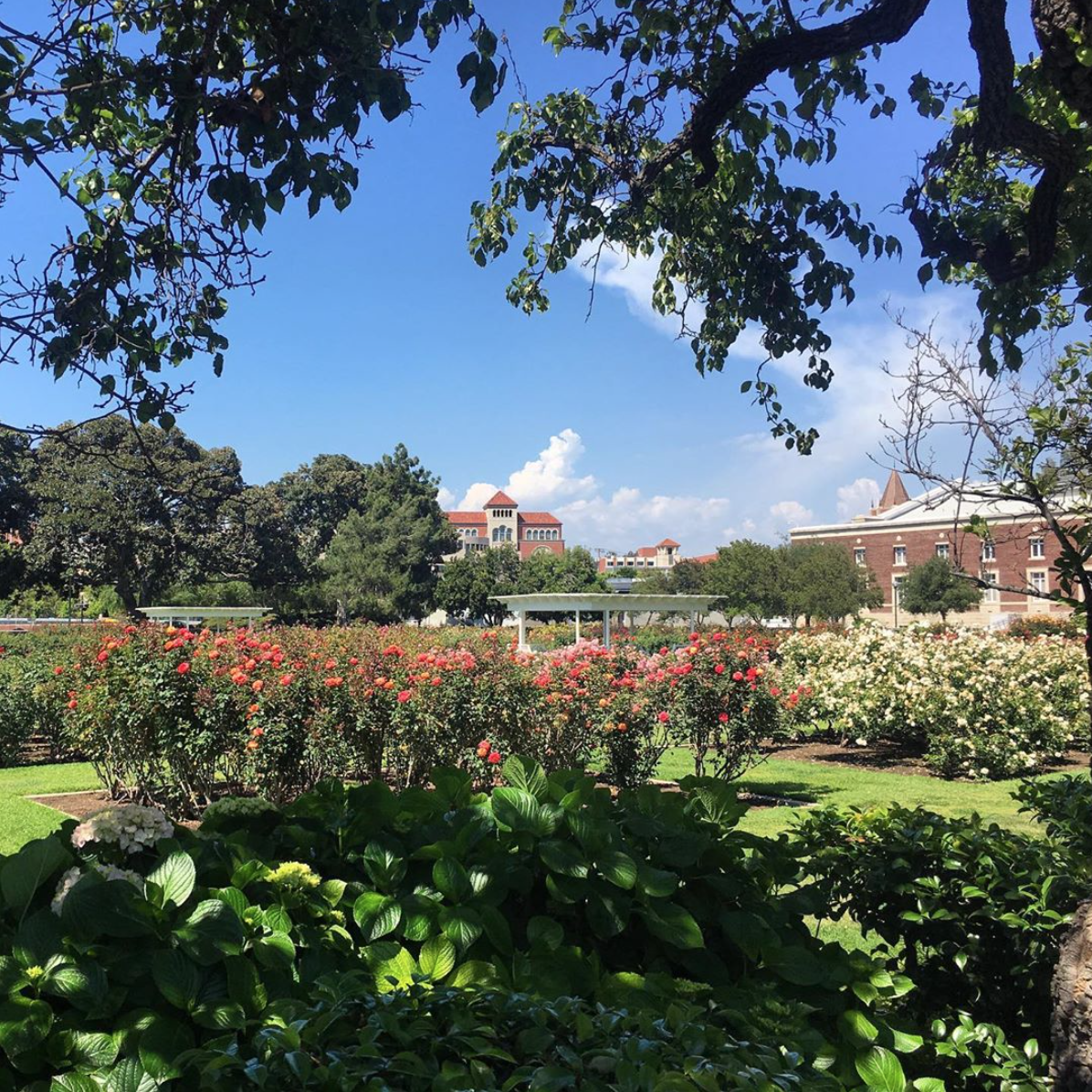 101 Things To Do In La Exposition Park Rose Garden Anna Boudinot